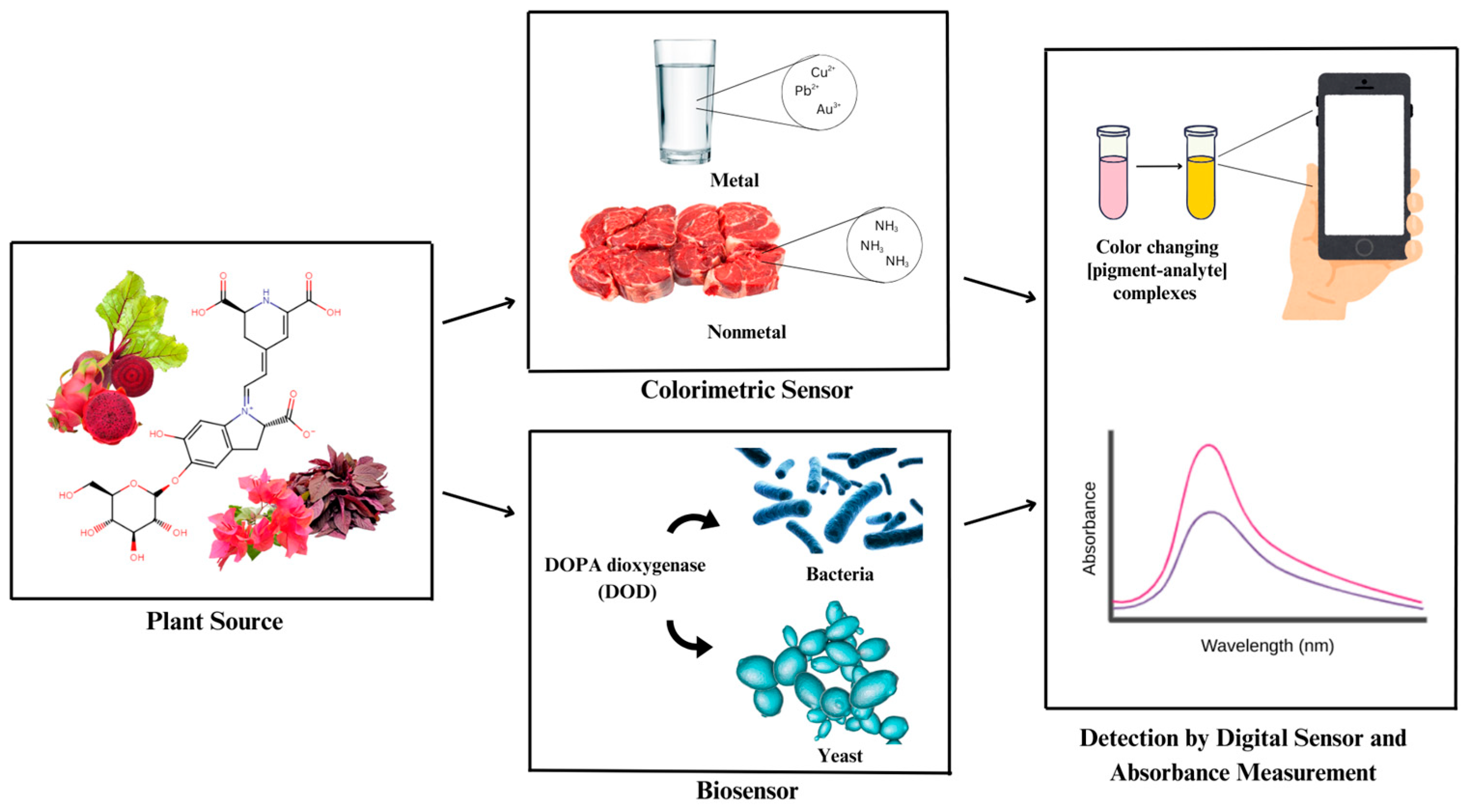 Biosensors 15 00349 g001