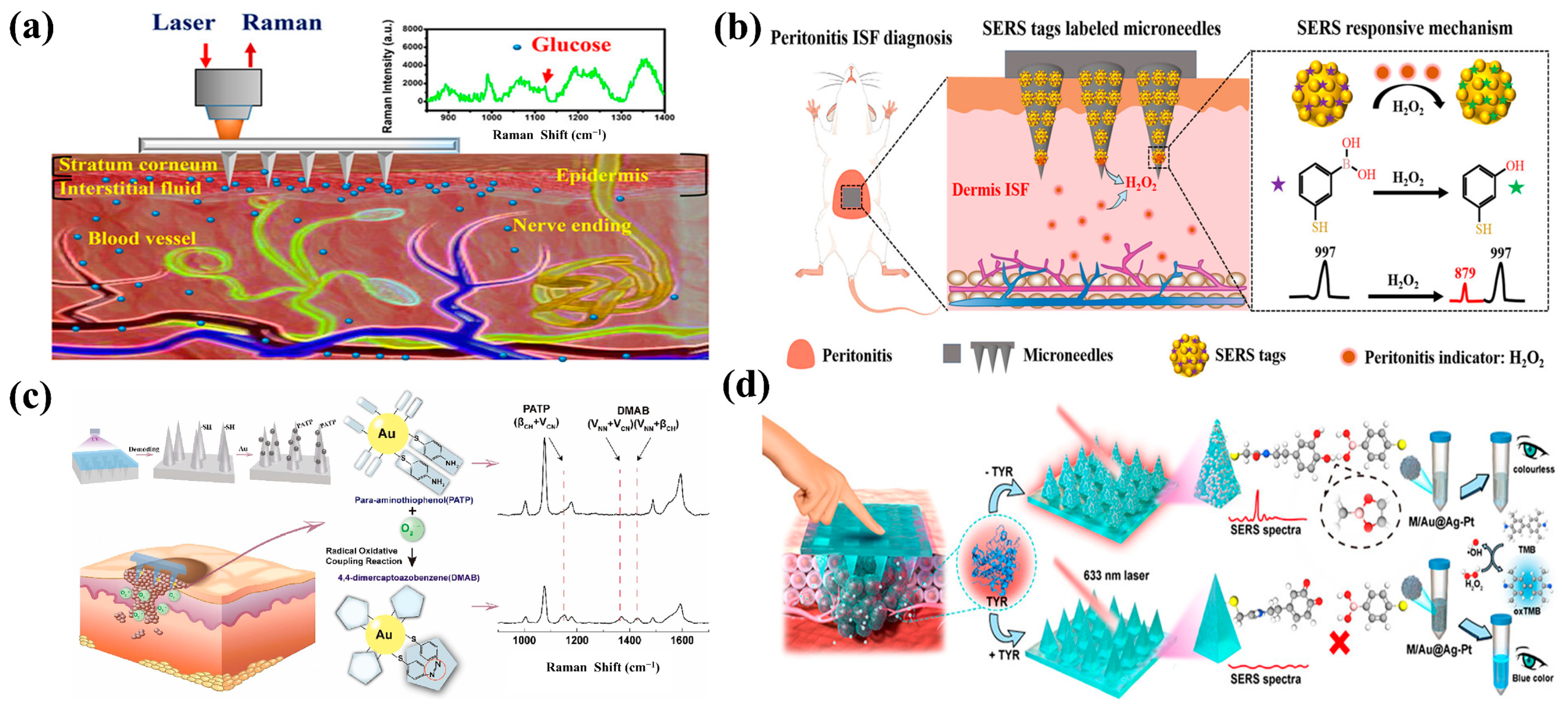 Biosensors 15 00350 g007