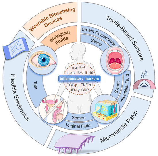Non-Invasive Wearables in Inflammation Monitoring: From