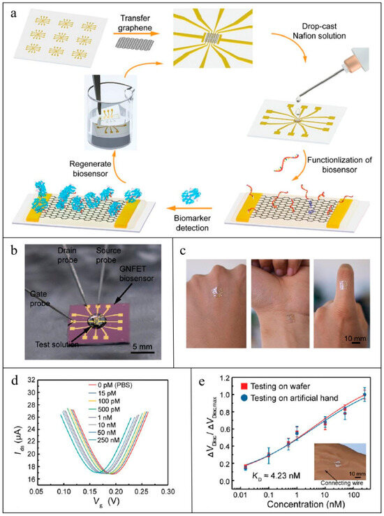 Non-Invasive Wearables in Inflammation Monitoring: From