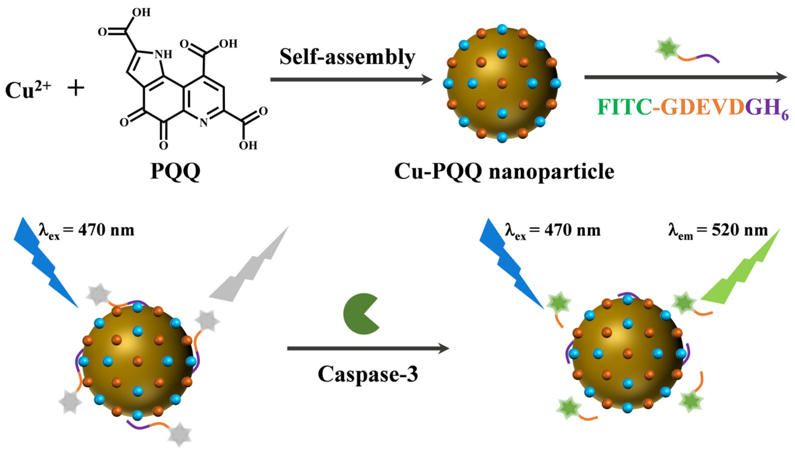 Biosensors 15 00354 sch001