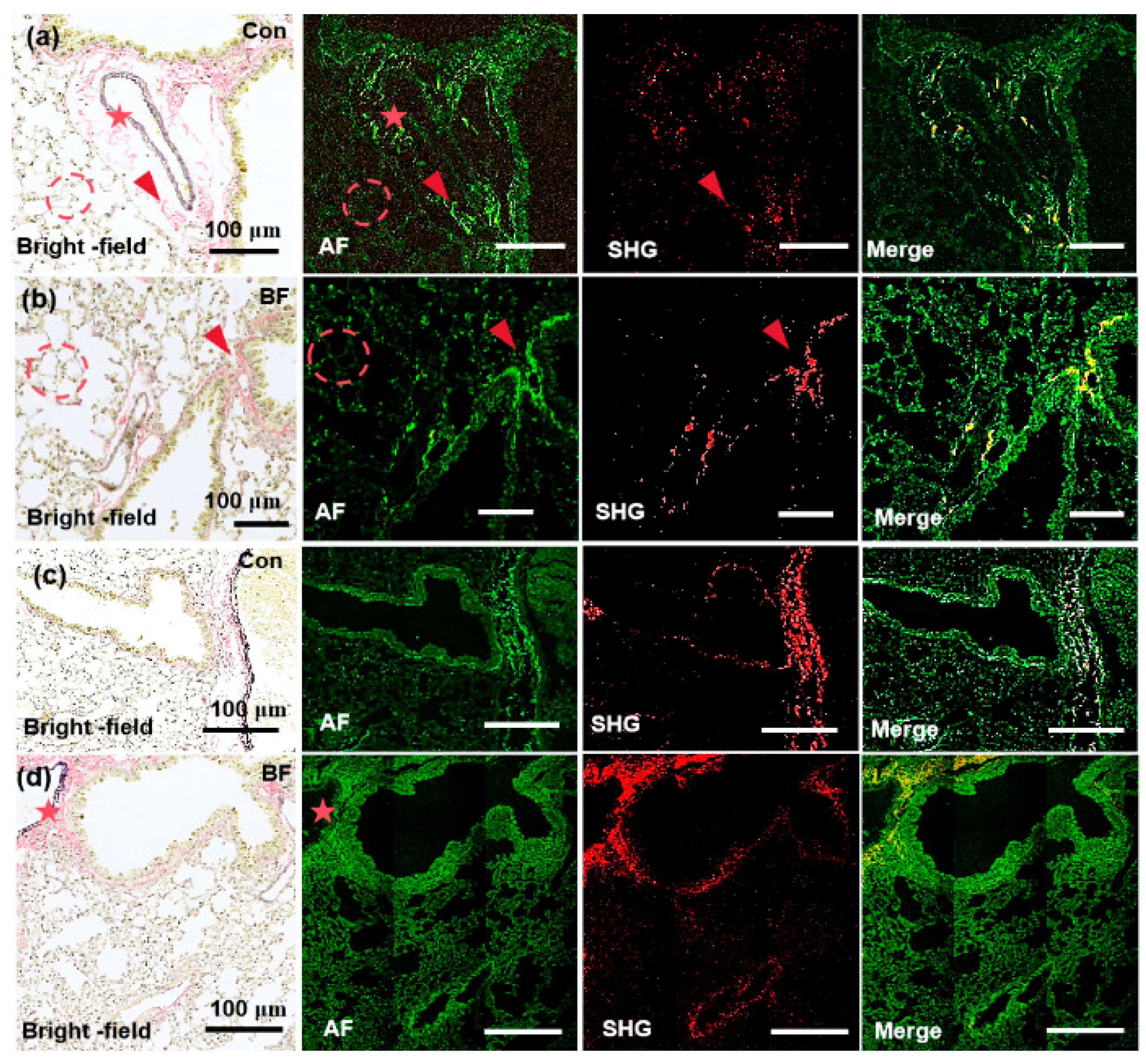 Biosensors 15 00357 g004