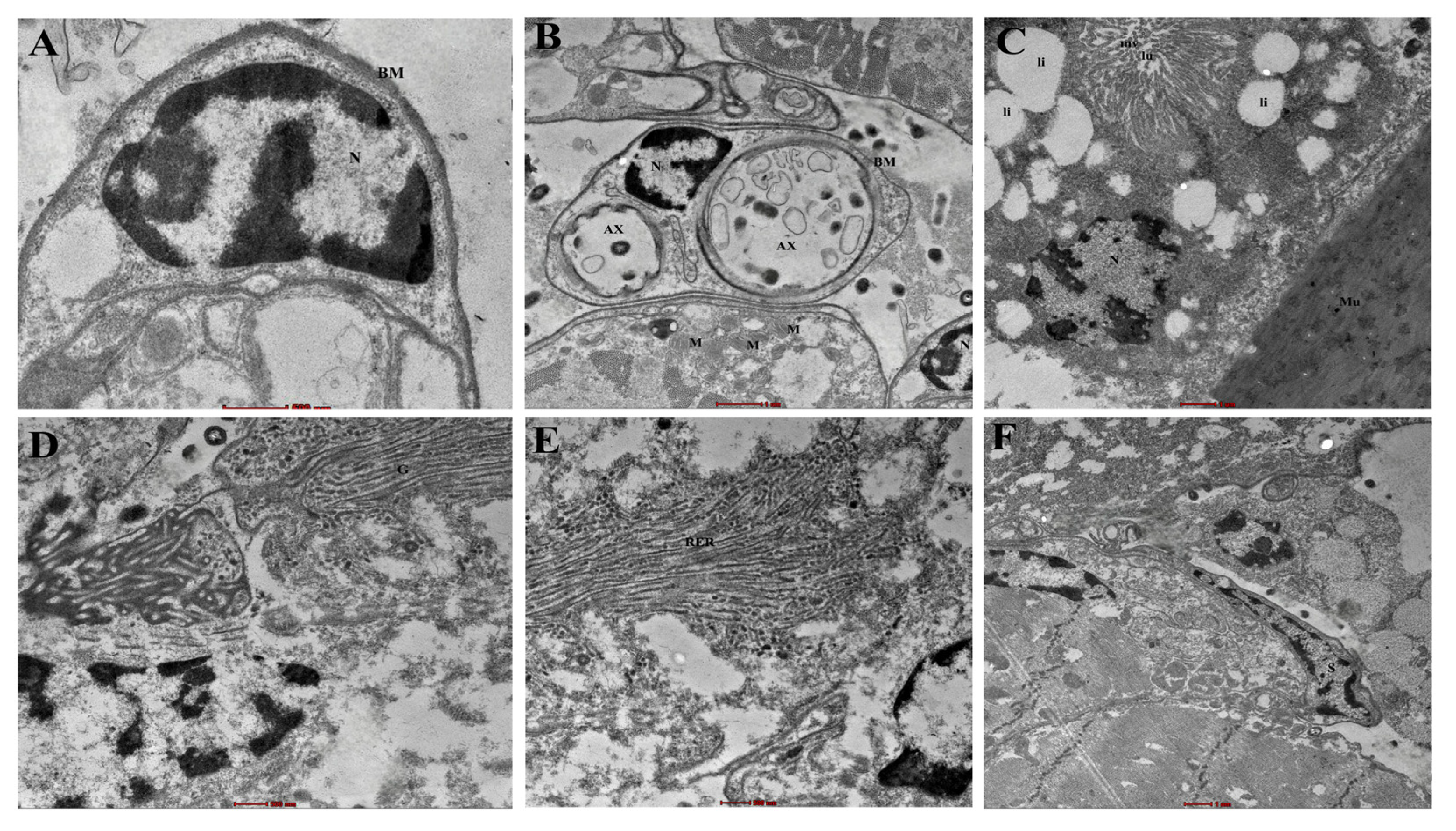 Biosensors 15 00358 g002