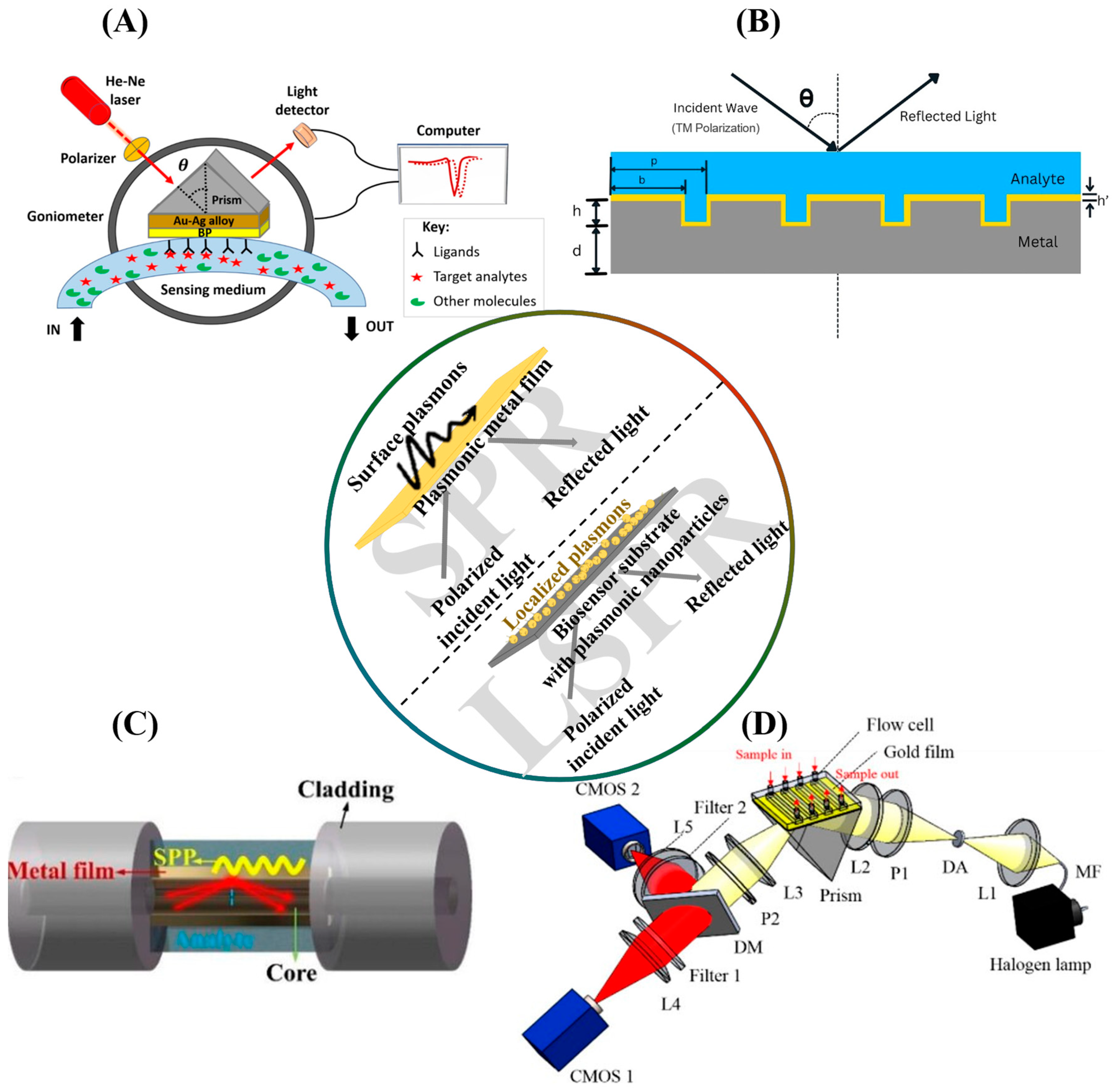 Biosensors 15 00359 g001