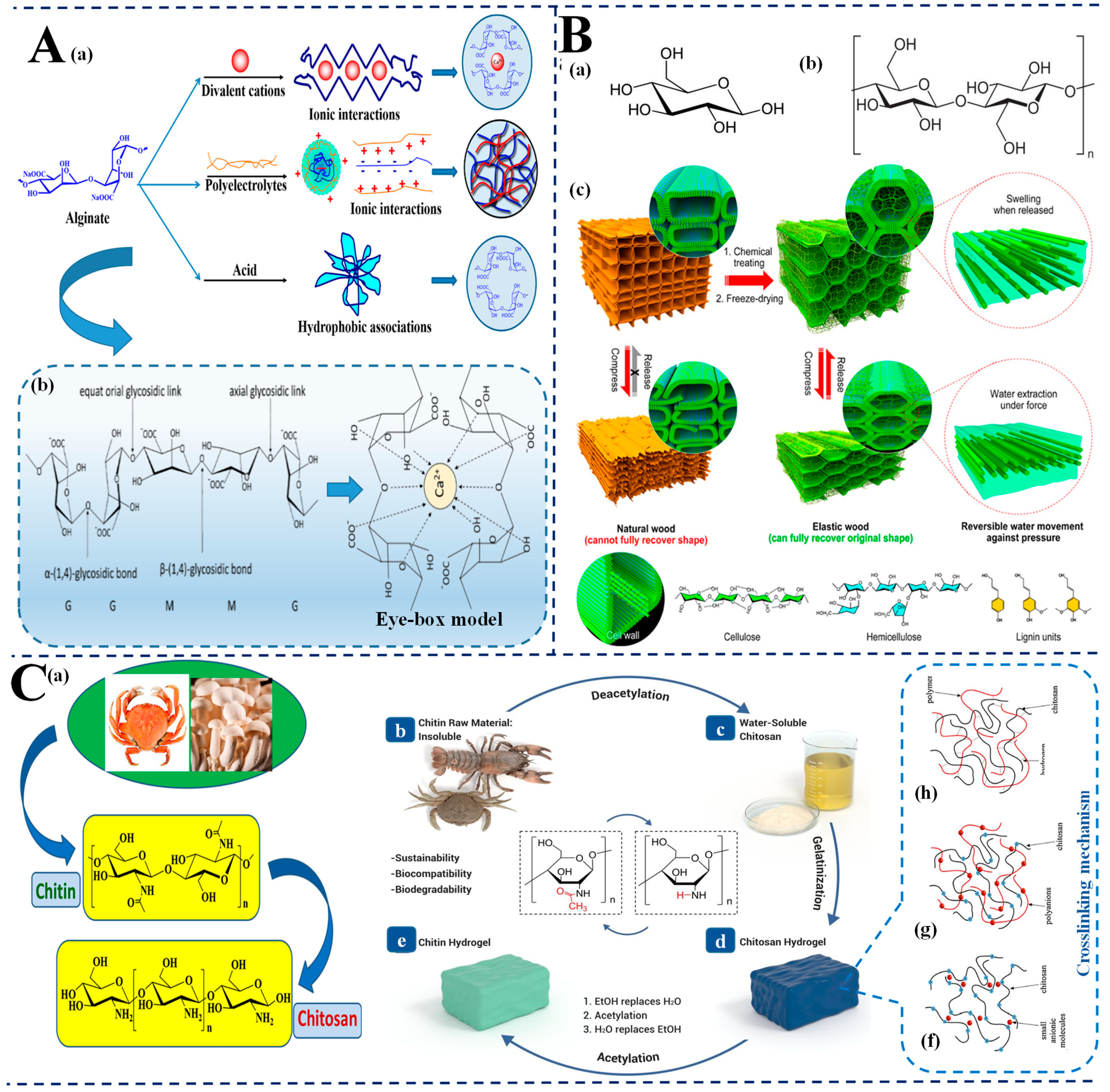 Biosensors 15 00363 g002