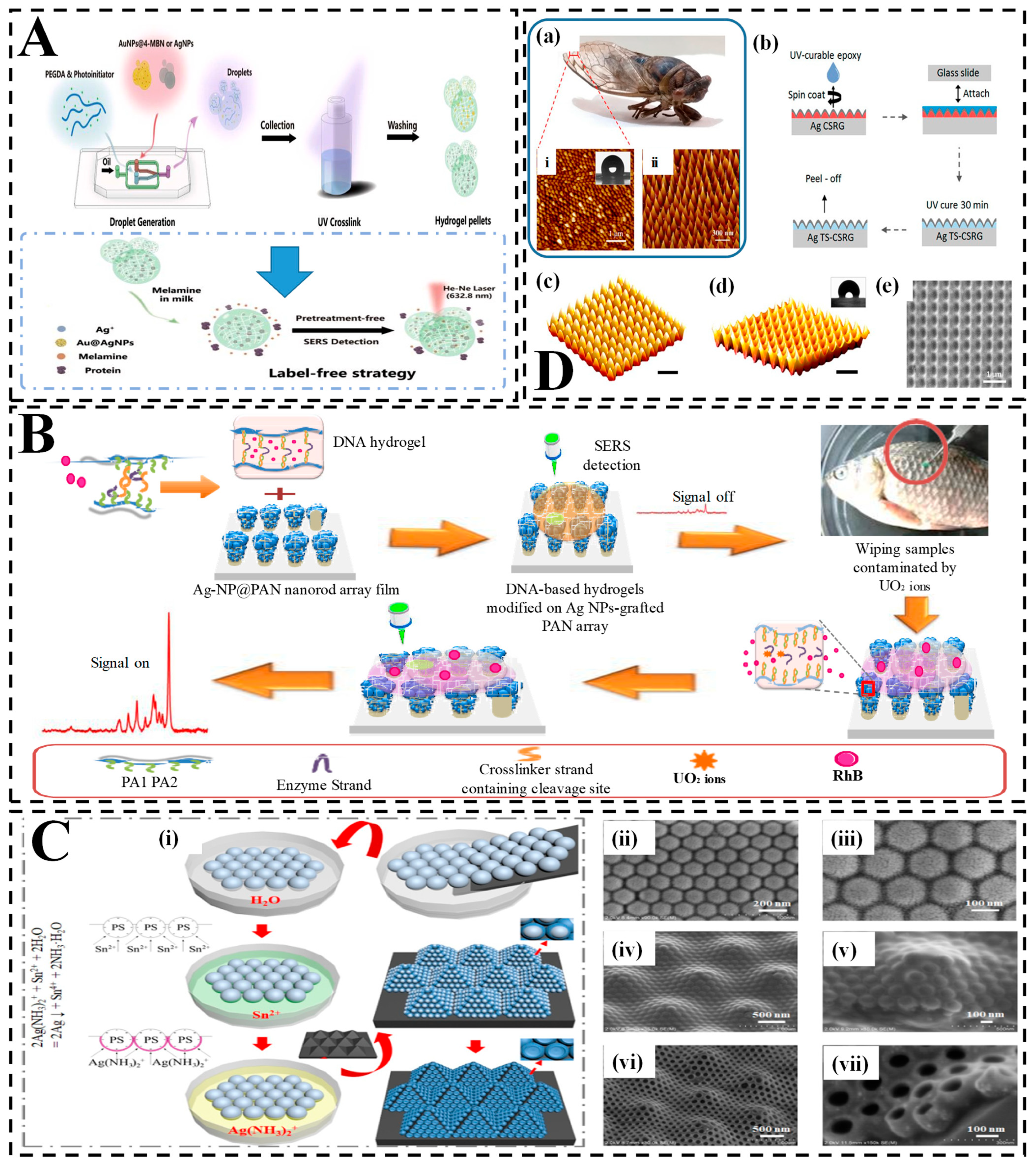 Biosensors 15 00363 g005