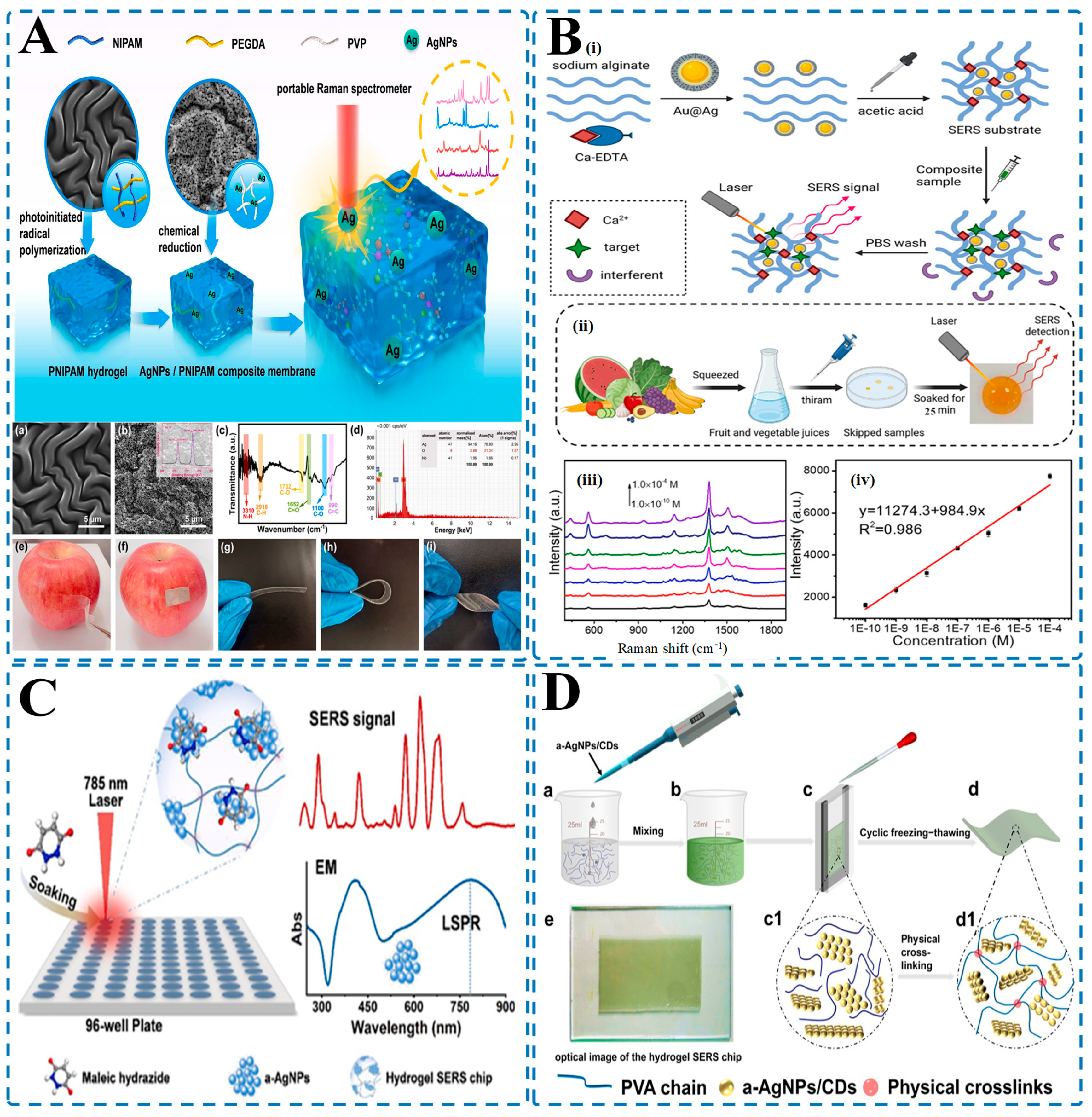 Biosensors 15 00363 g006