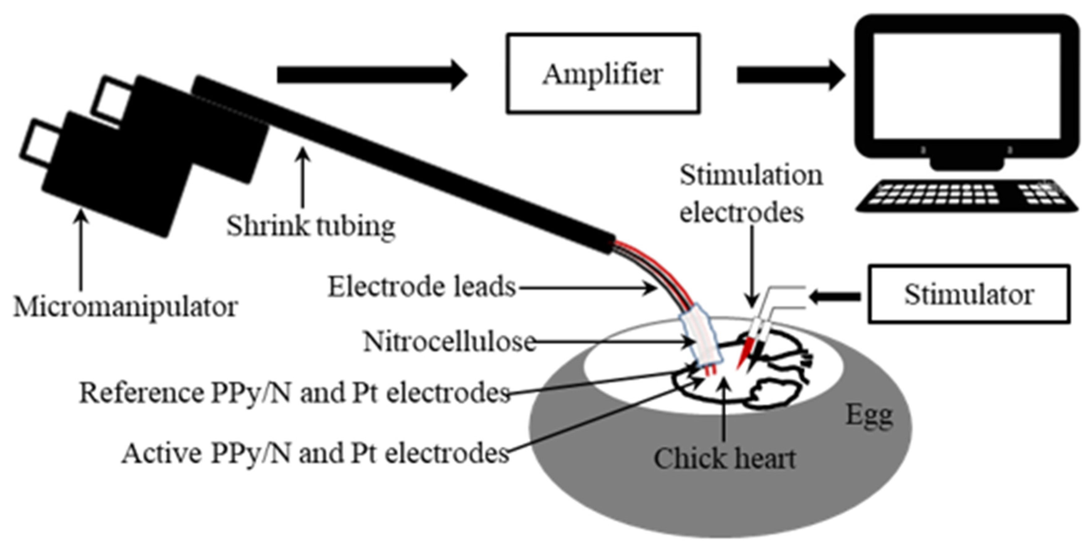Biosensors 15 00366 g002