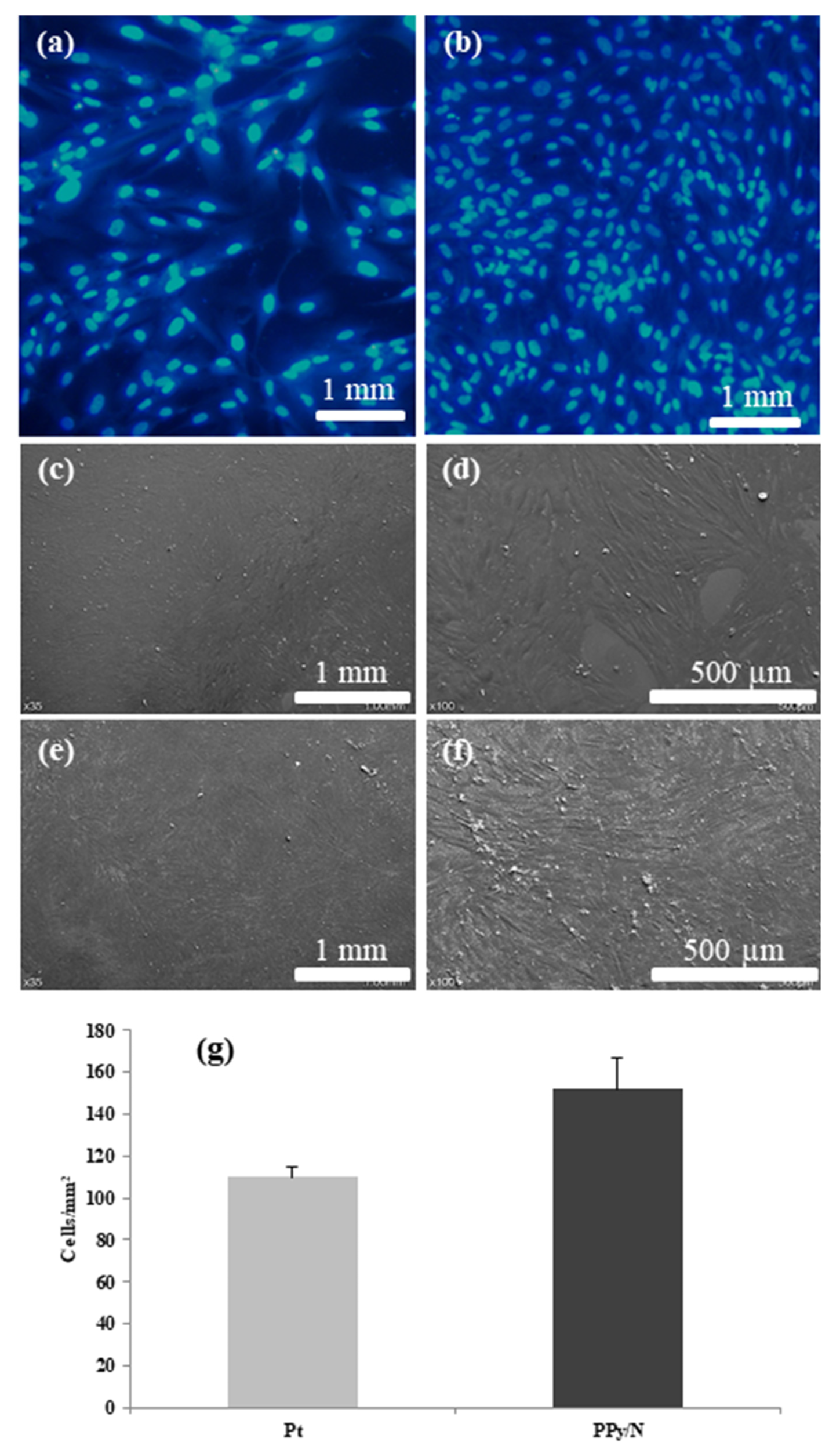 Biosensors 15 00366 g005