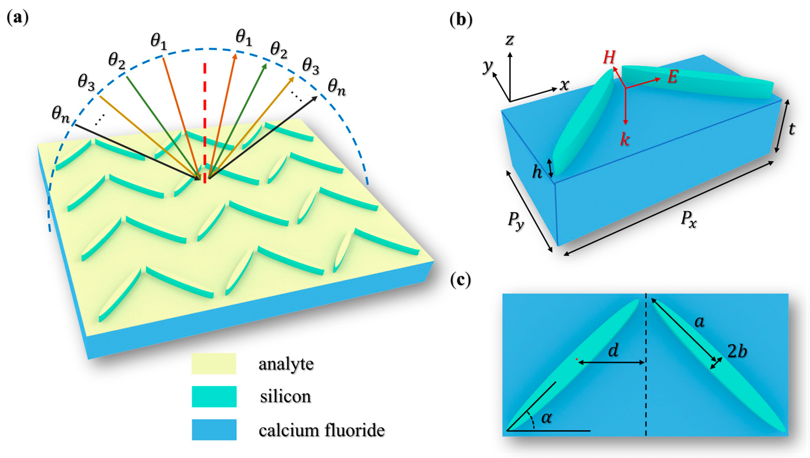 Biosensors 15 00368 g001
