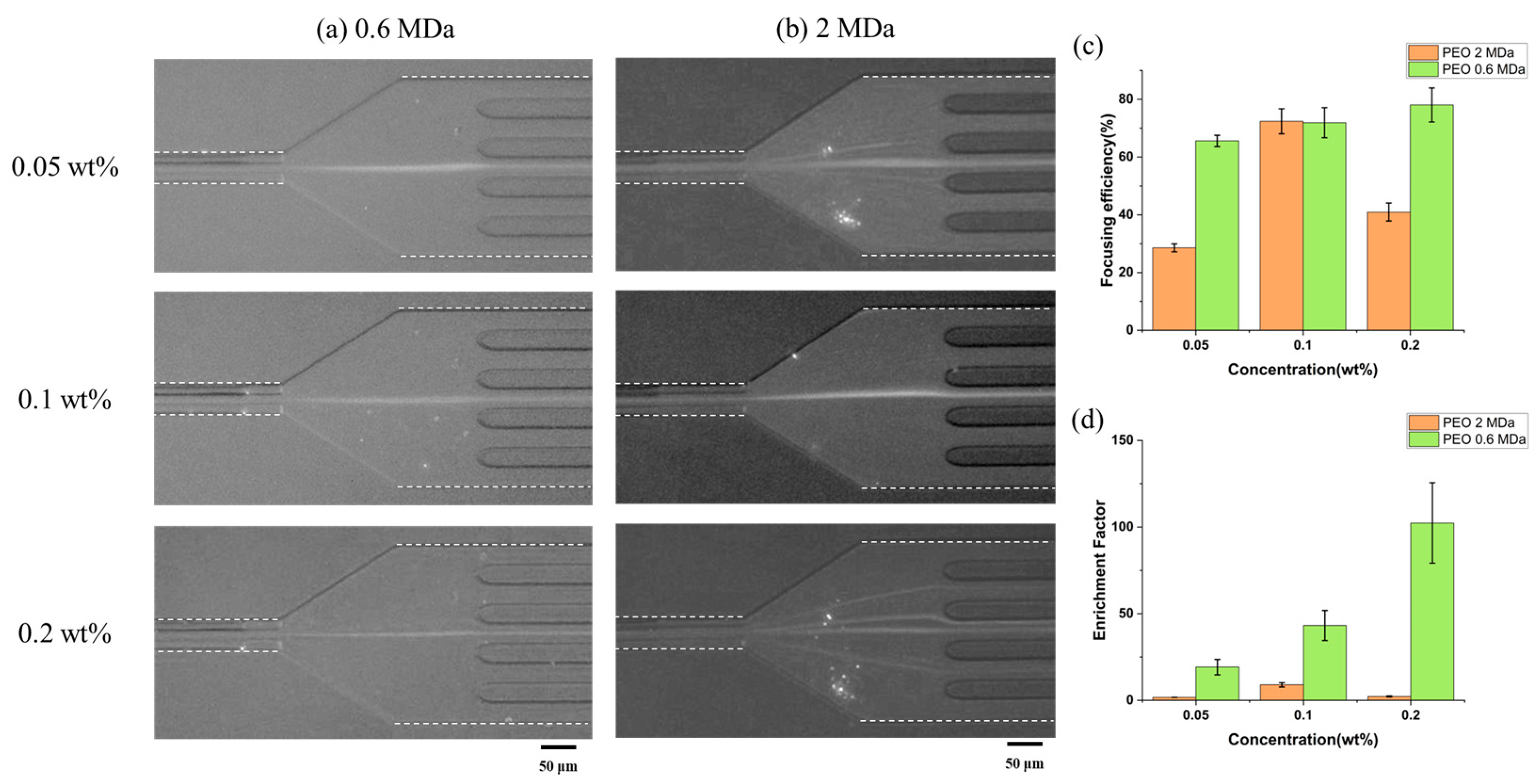 Biosensors 15 00370 g003