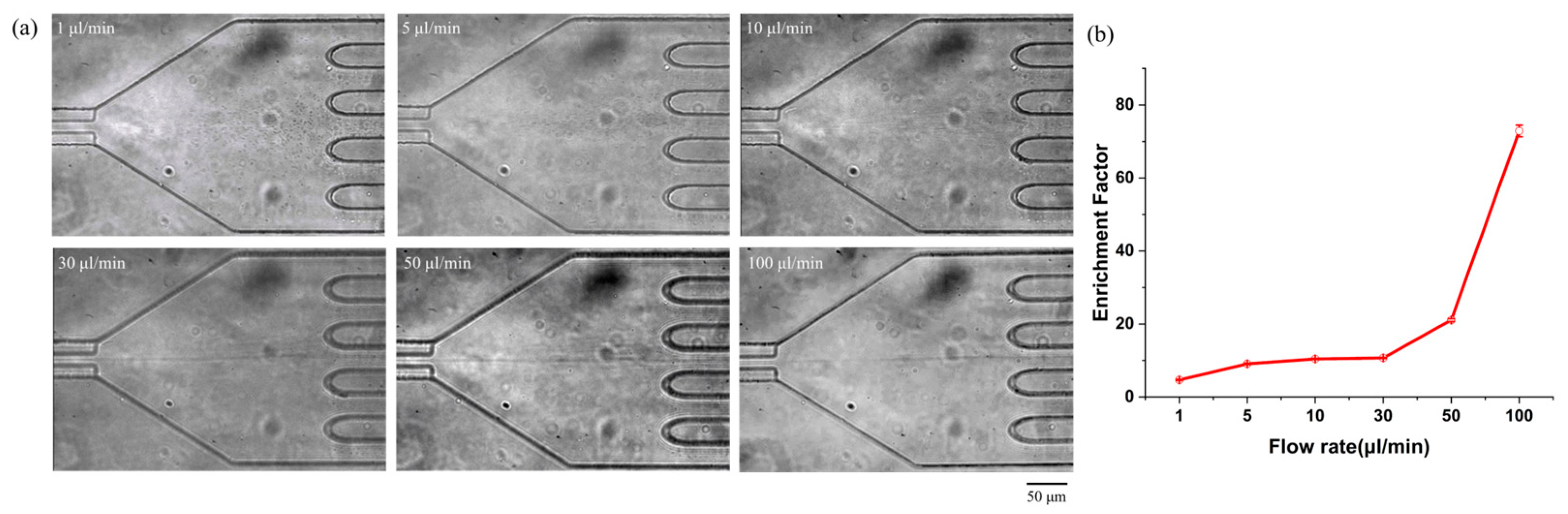 Biosensors 15 00370 g004
