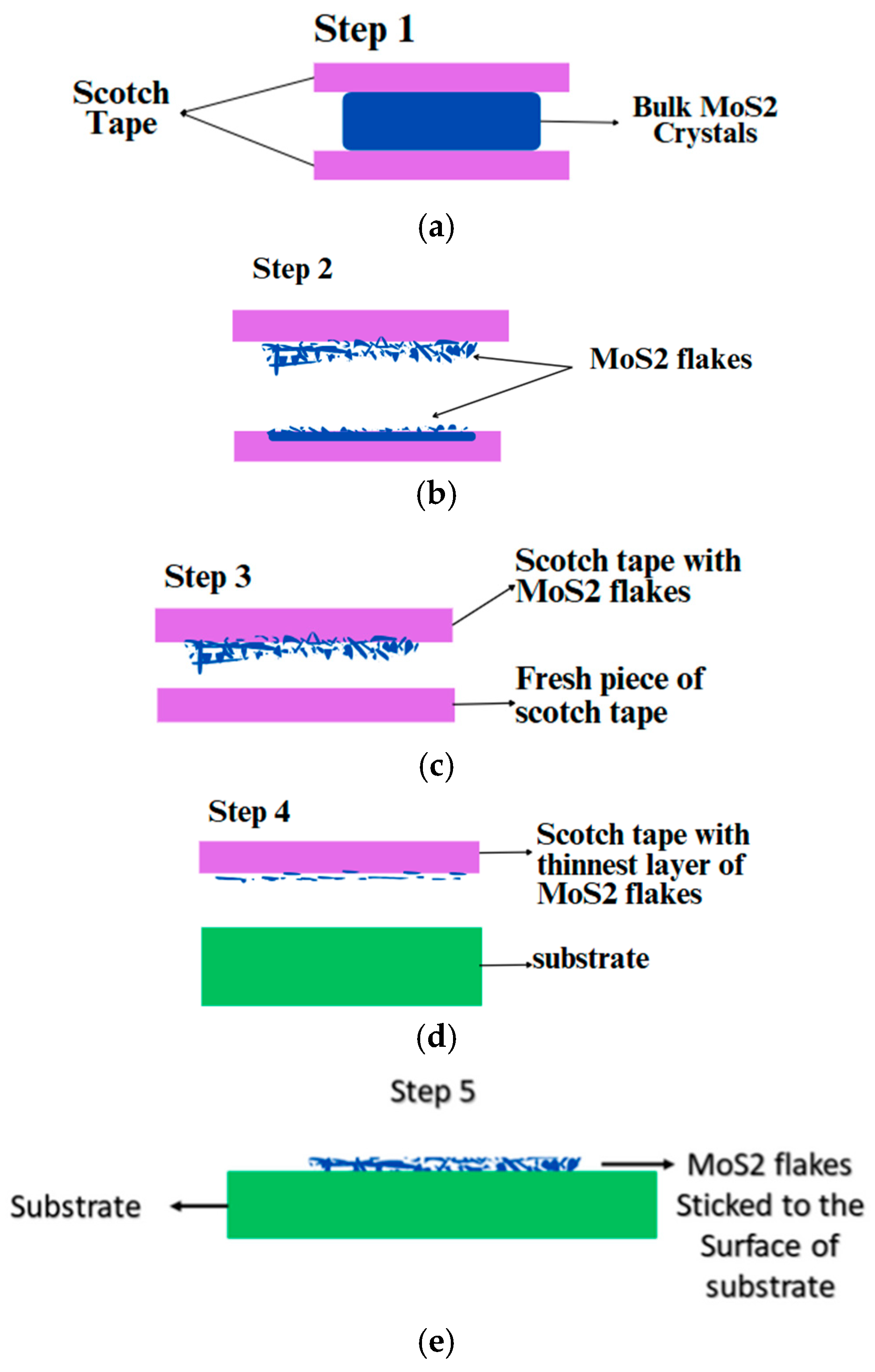 Biosensors 15 00371 g001