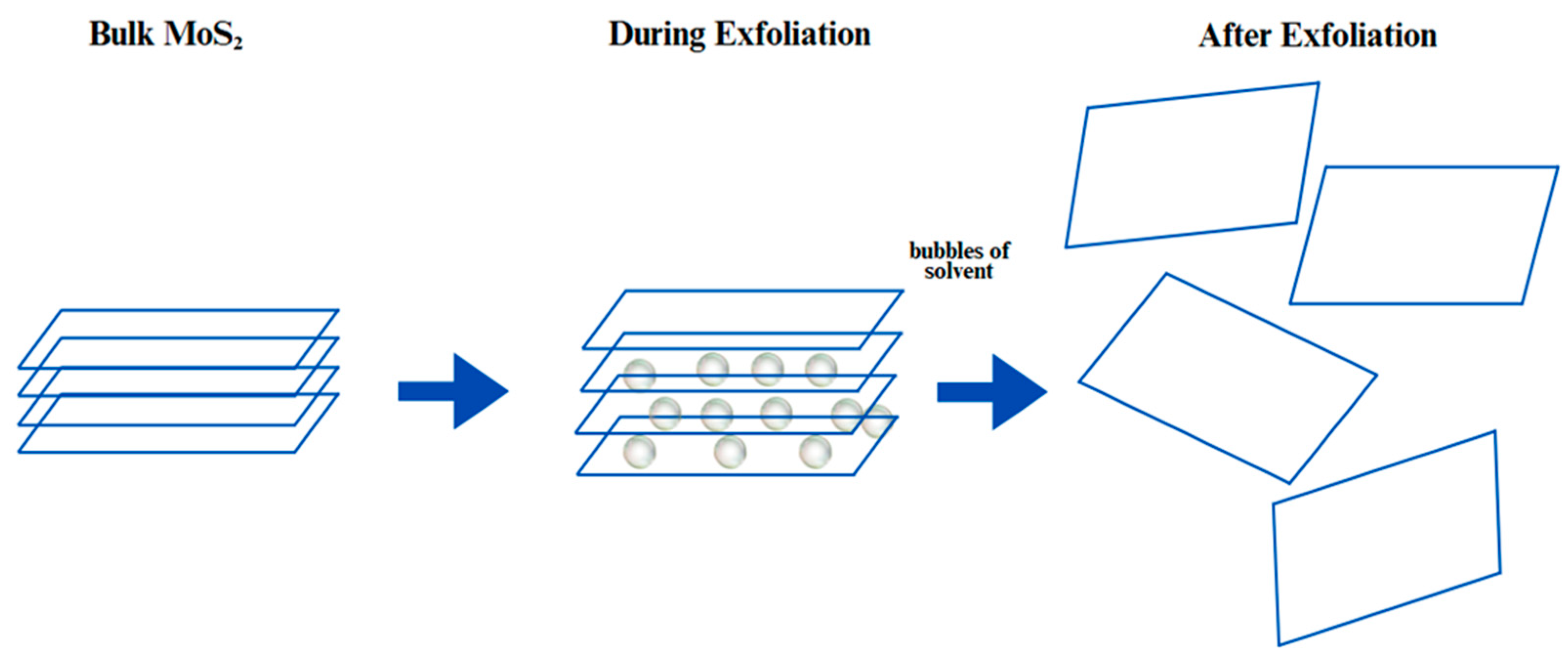 Biosensors 15 00371 g004