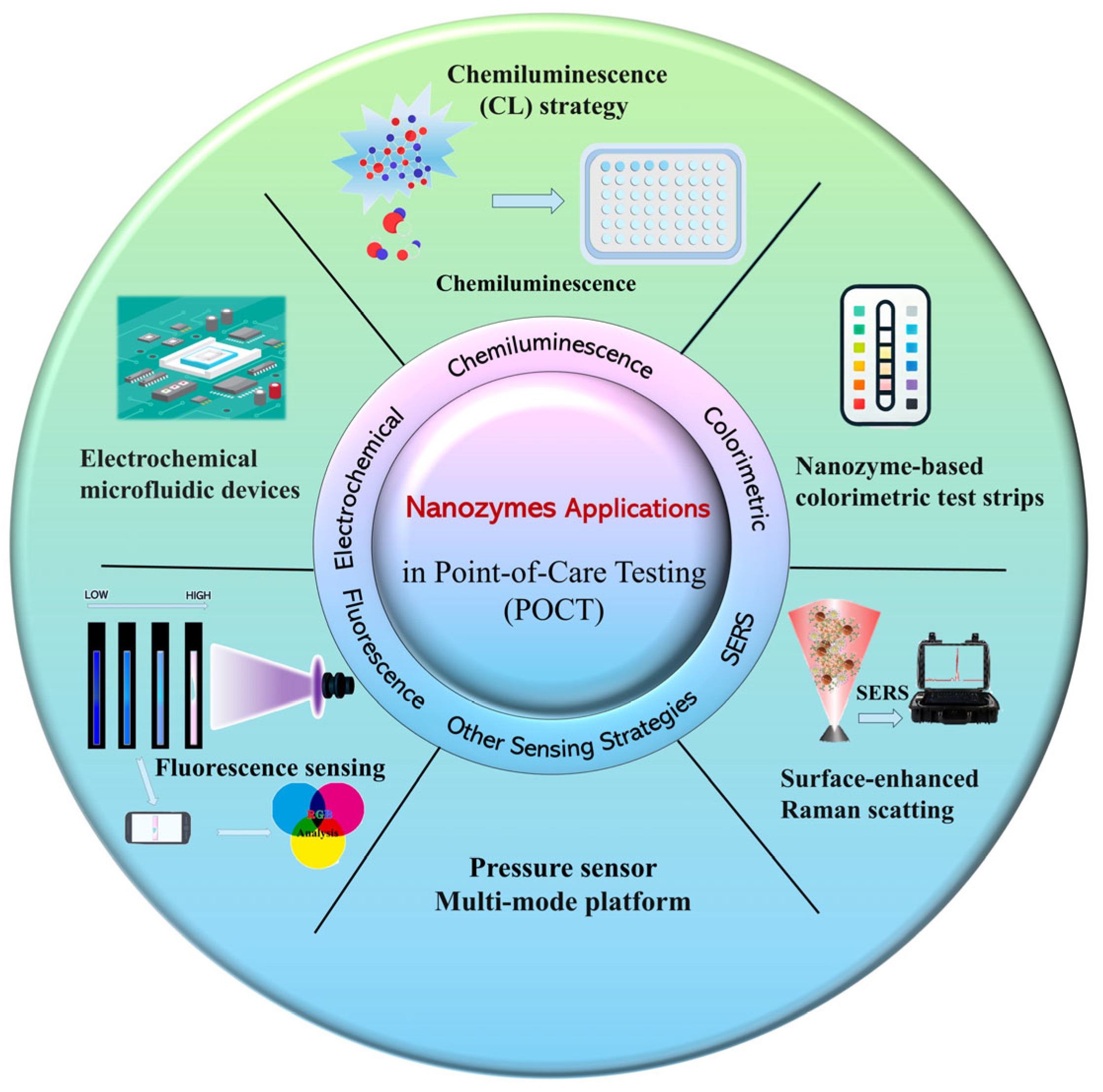 Biosensors 15 00375 g001