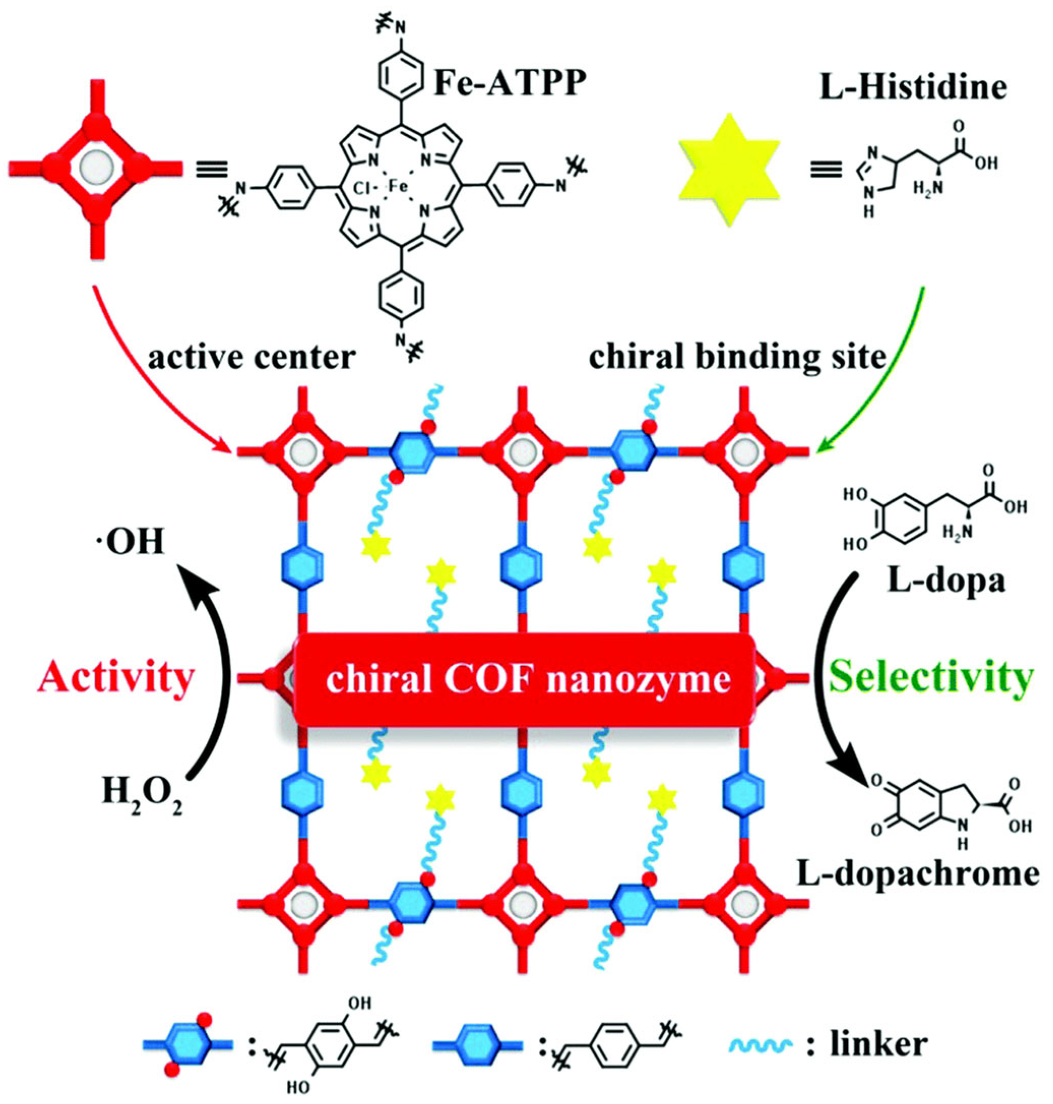 Biosensors 15 00375 g002
