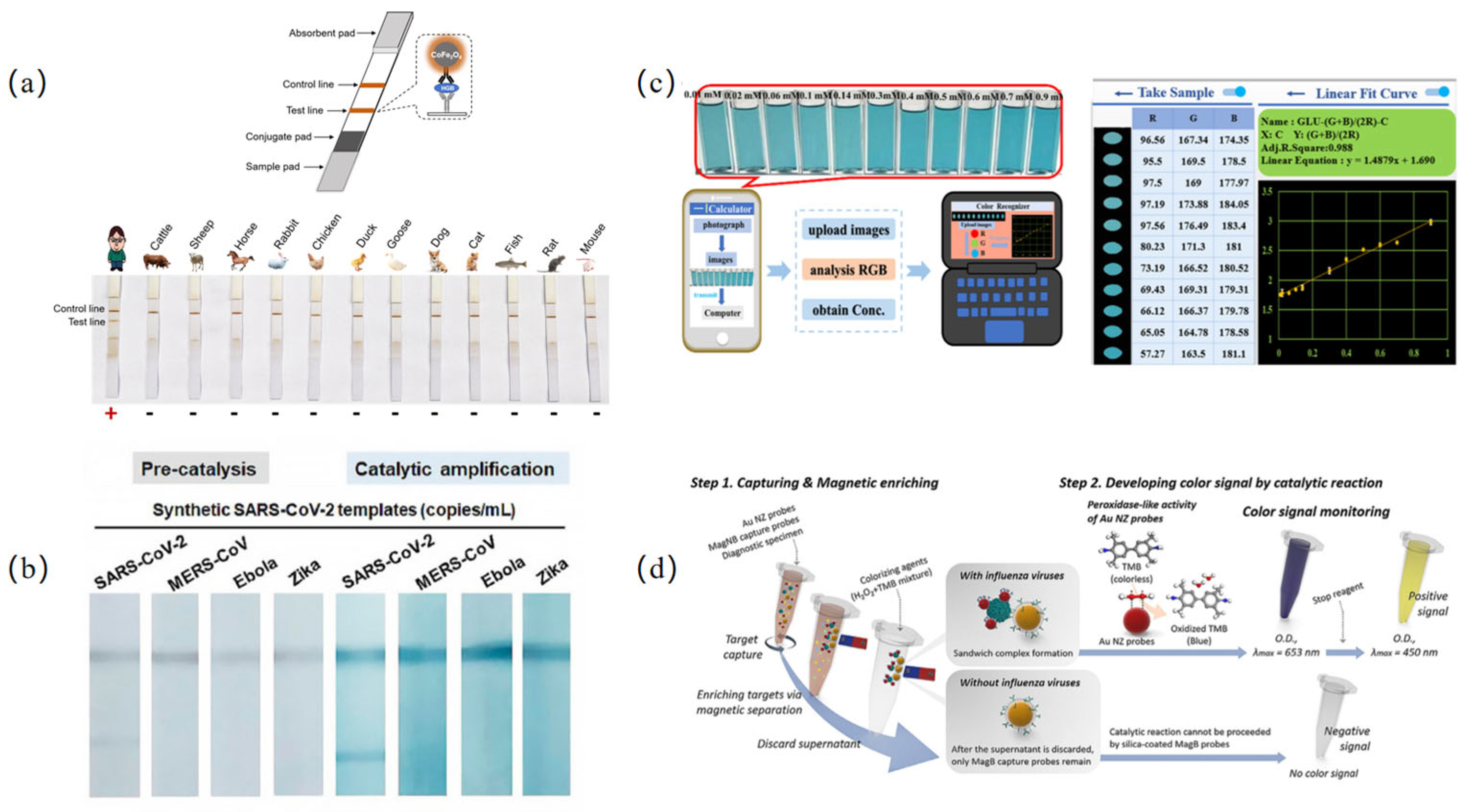 Biosensors 15 00375 g003