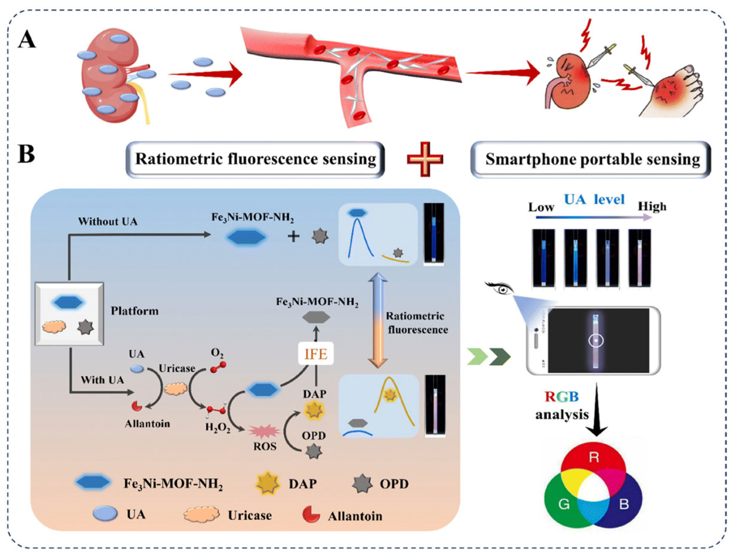 Biosensors 15 00375 g004