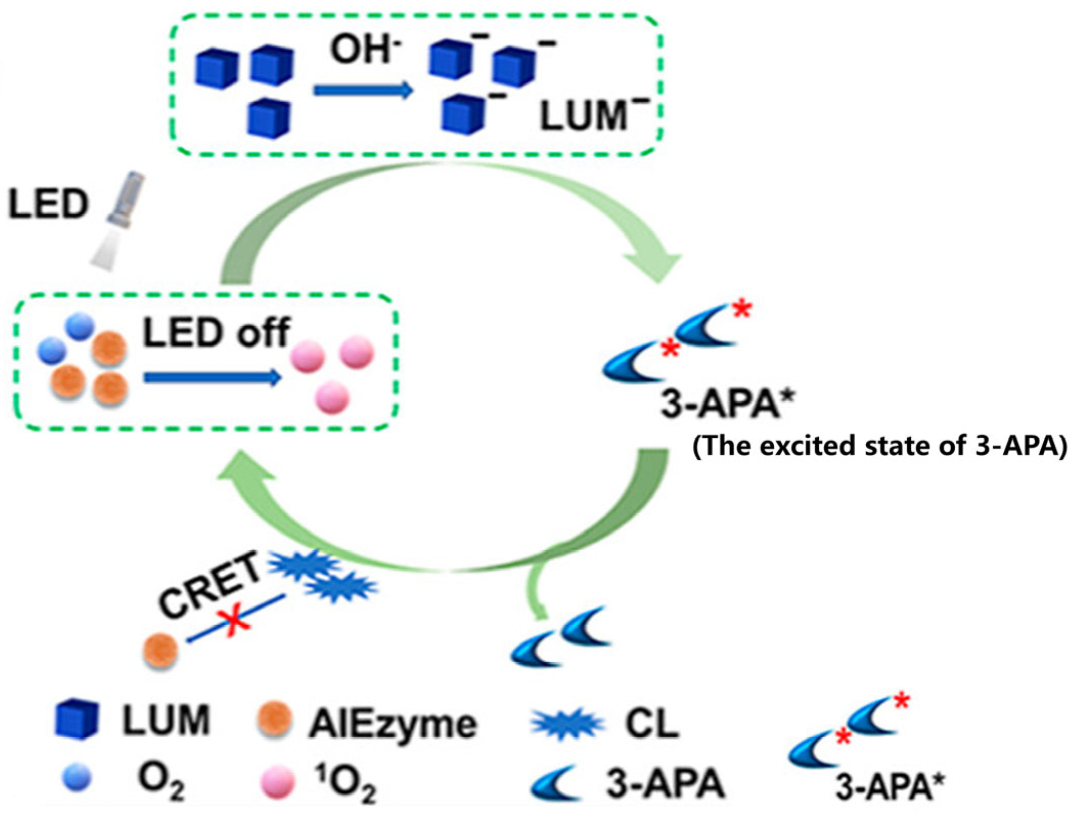 Biosensors 15 00375 g005