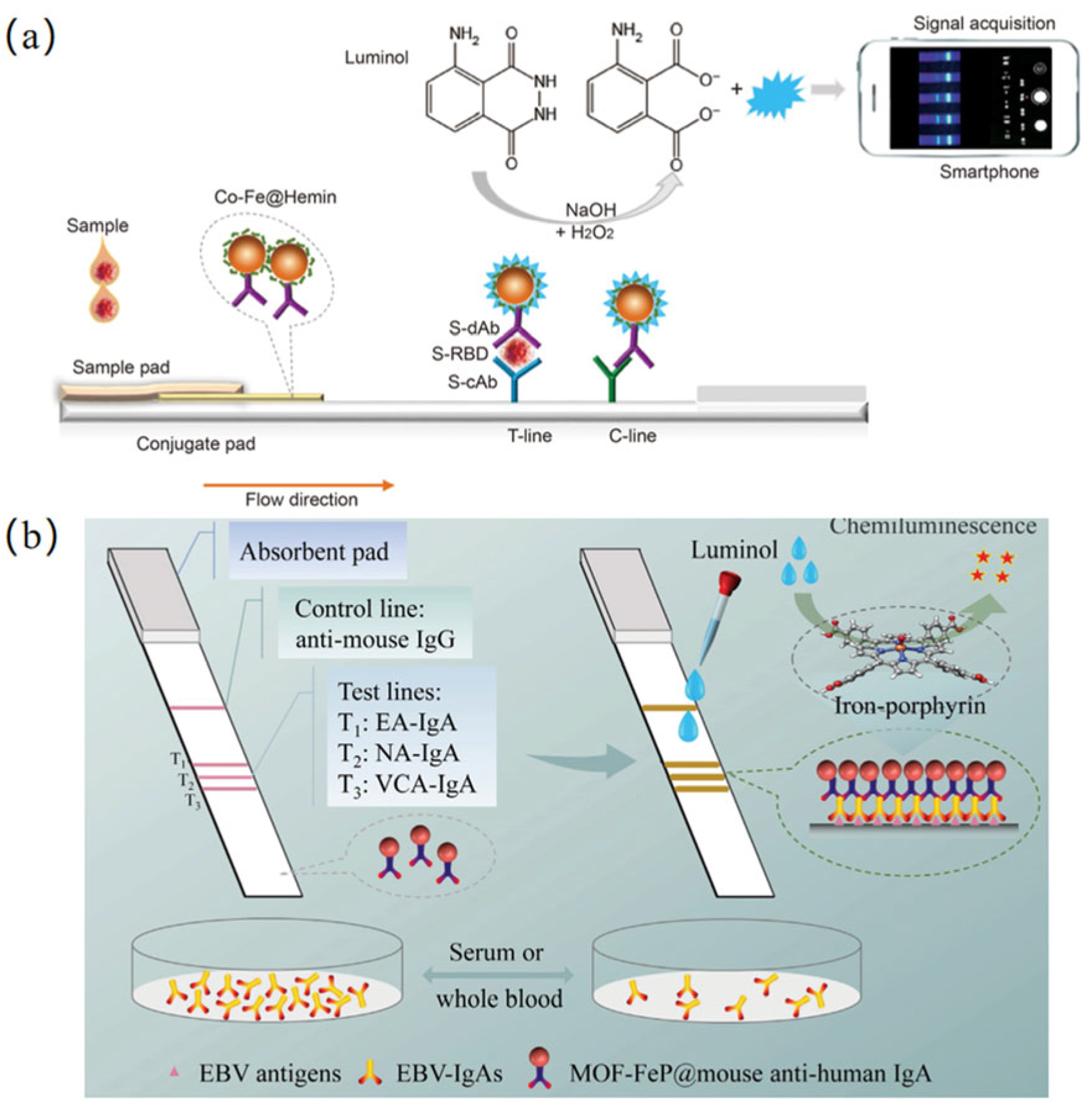 Biosensors 15 00375 g006