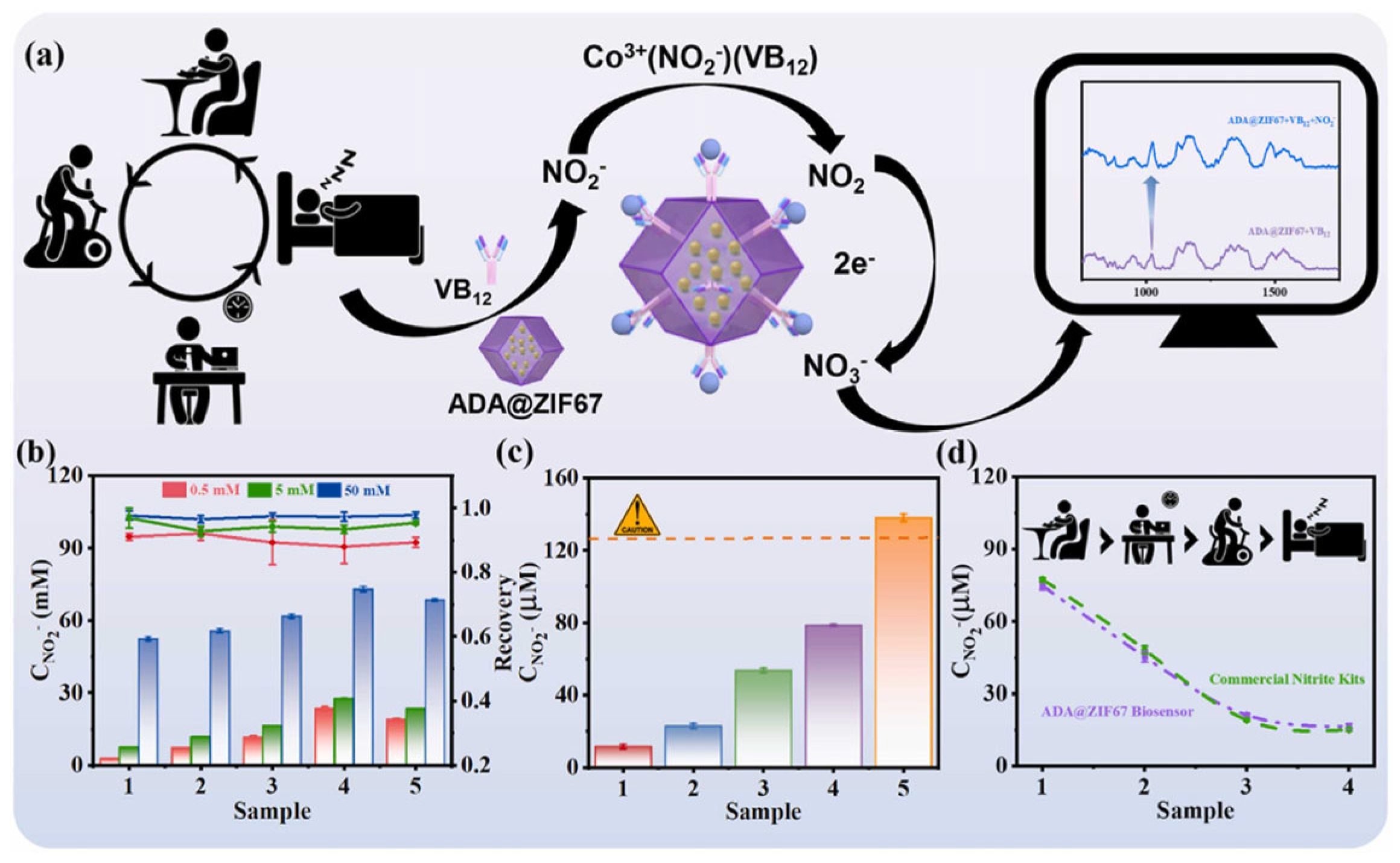 Biosensors 15 00375 g007