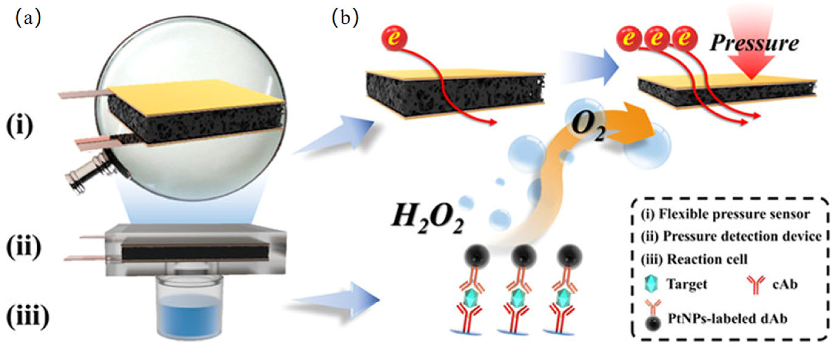 Biosensors 15 00375 g008