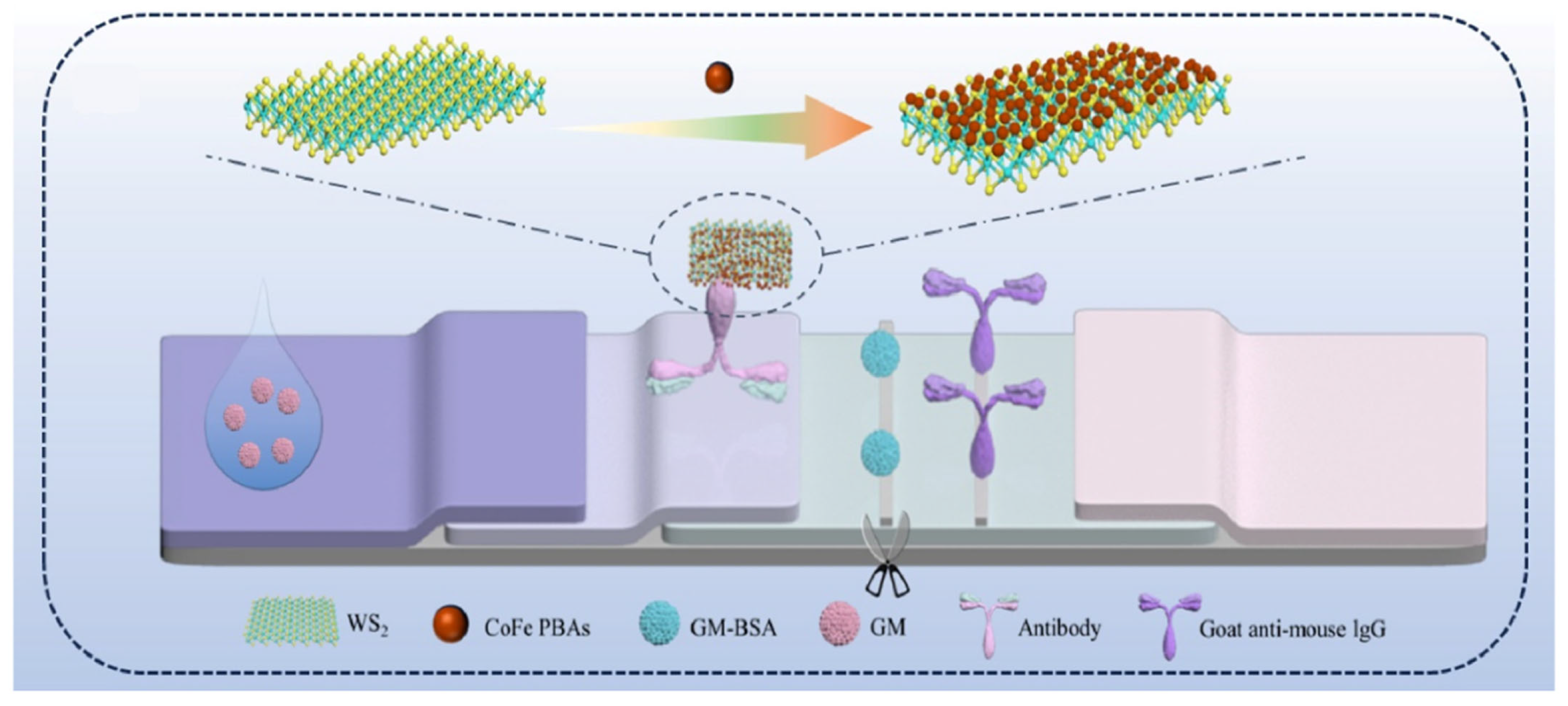 Biosensors 15 00375 g009