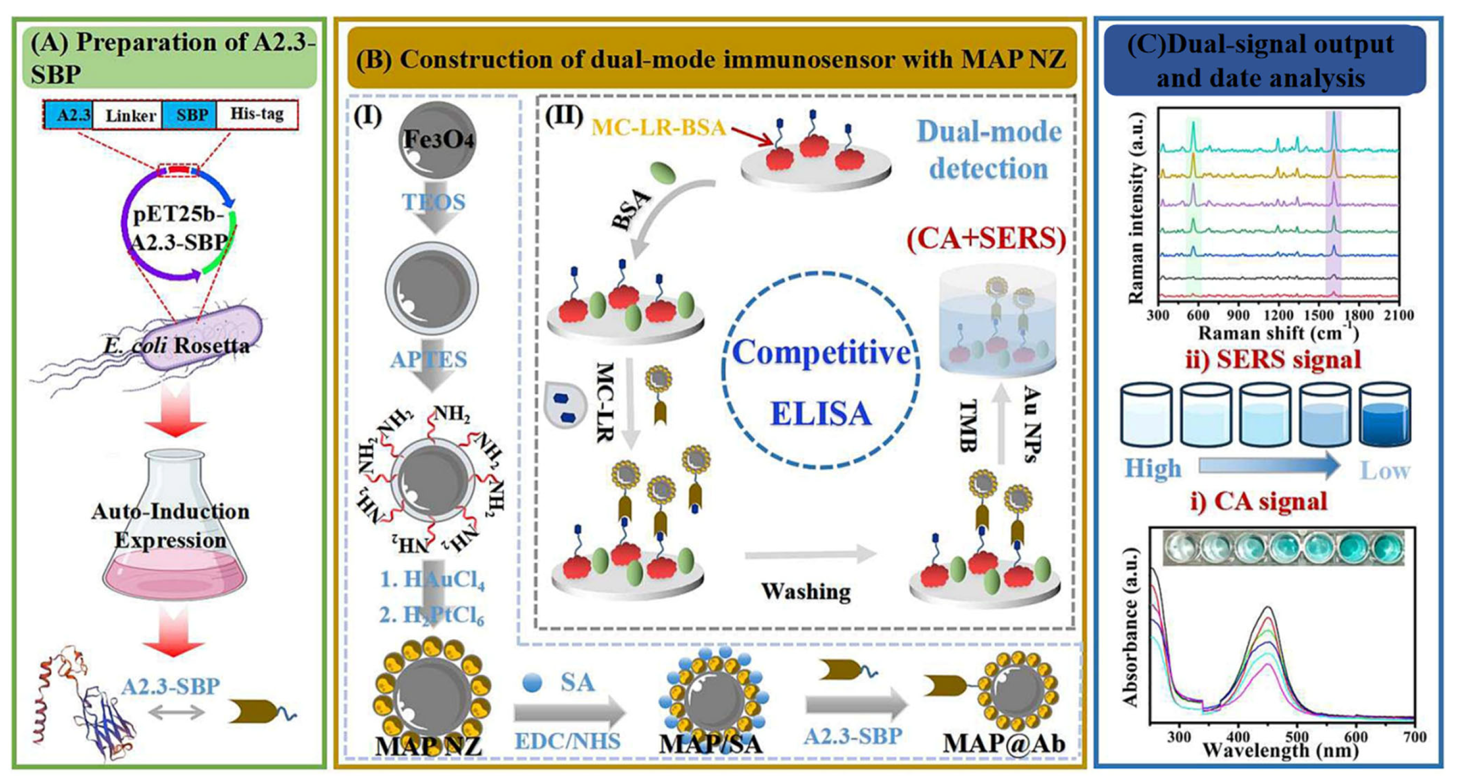 Biosensors 15 00375 g010