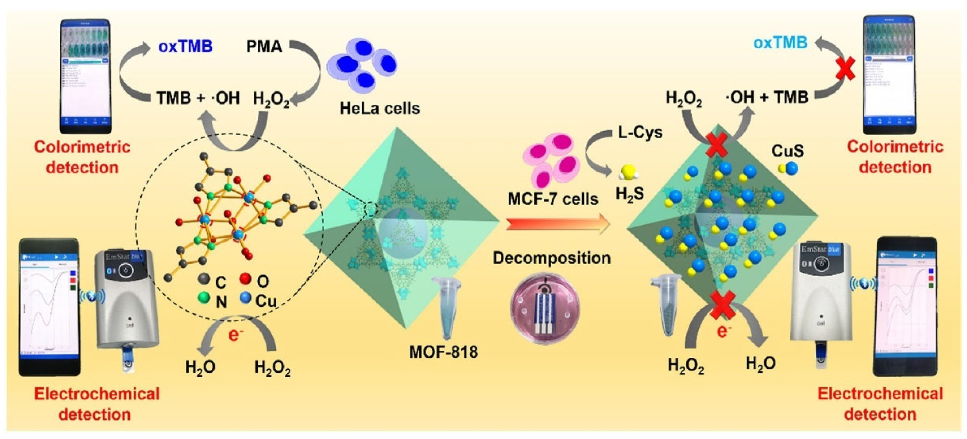Biosensors 15 00375 g011