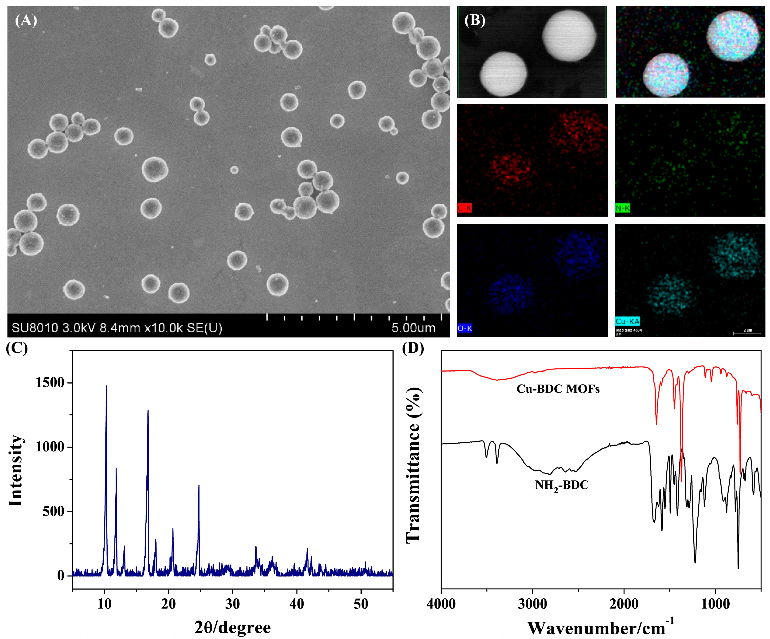 Biosensors 15 00376 g001