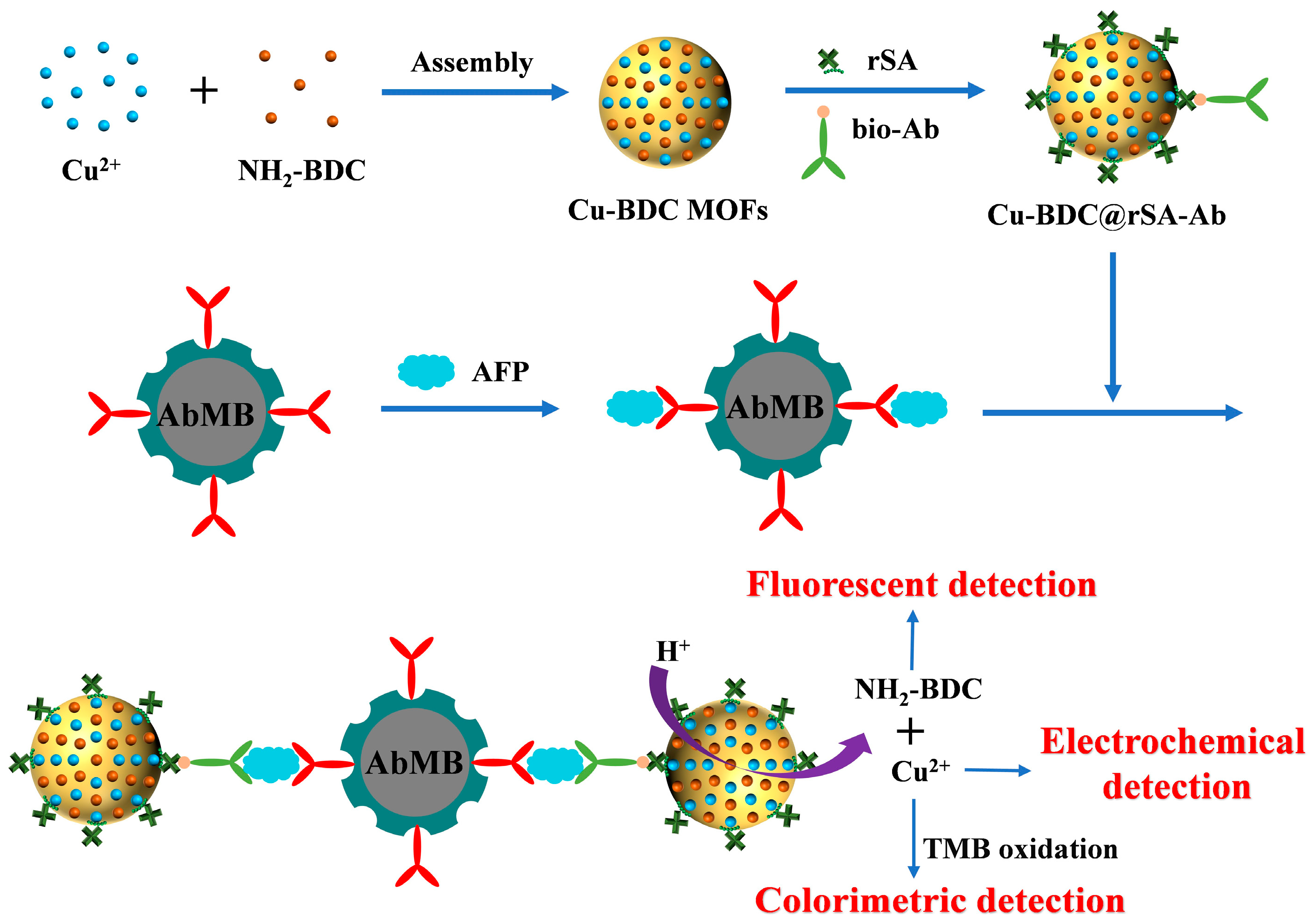 Biosensors 15 00376 sch001