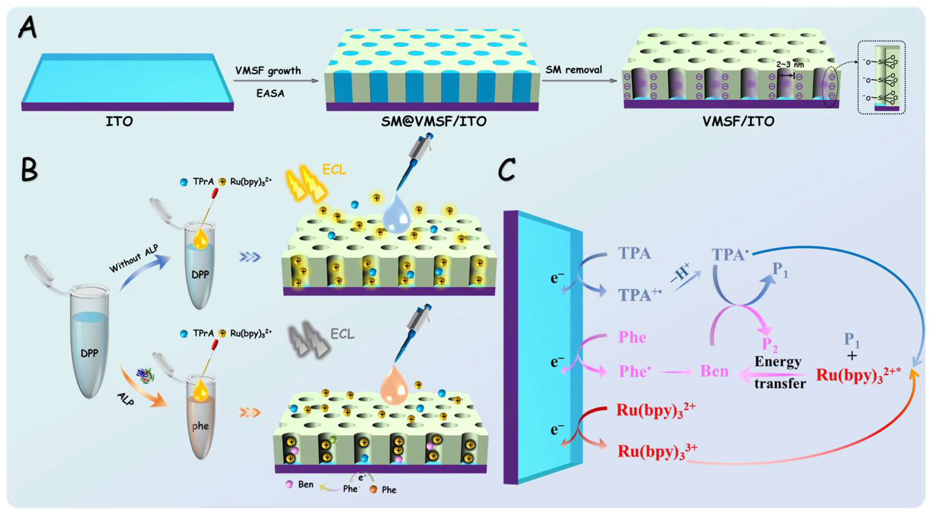 Biosensors 15 00377 g001 Biosensors 15 00377 g001