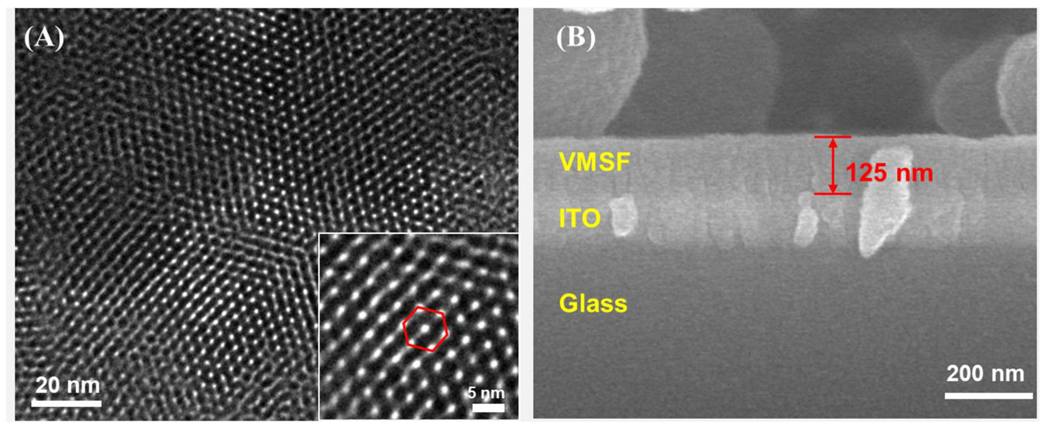 Biosensors 15 00377 g002 Biosensors 15 00377 g002