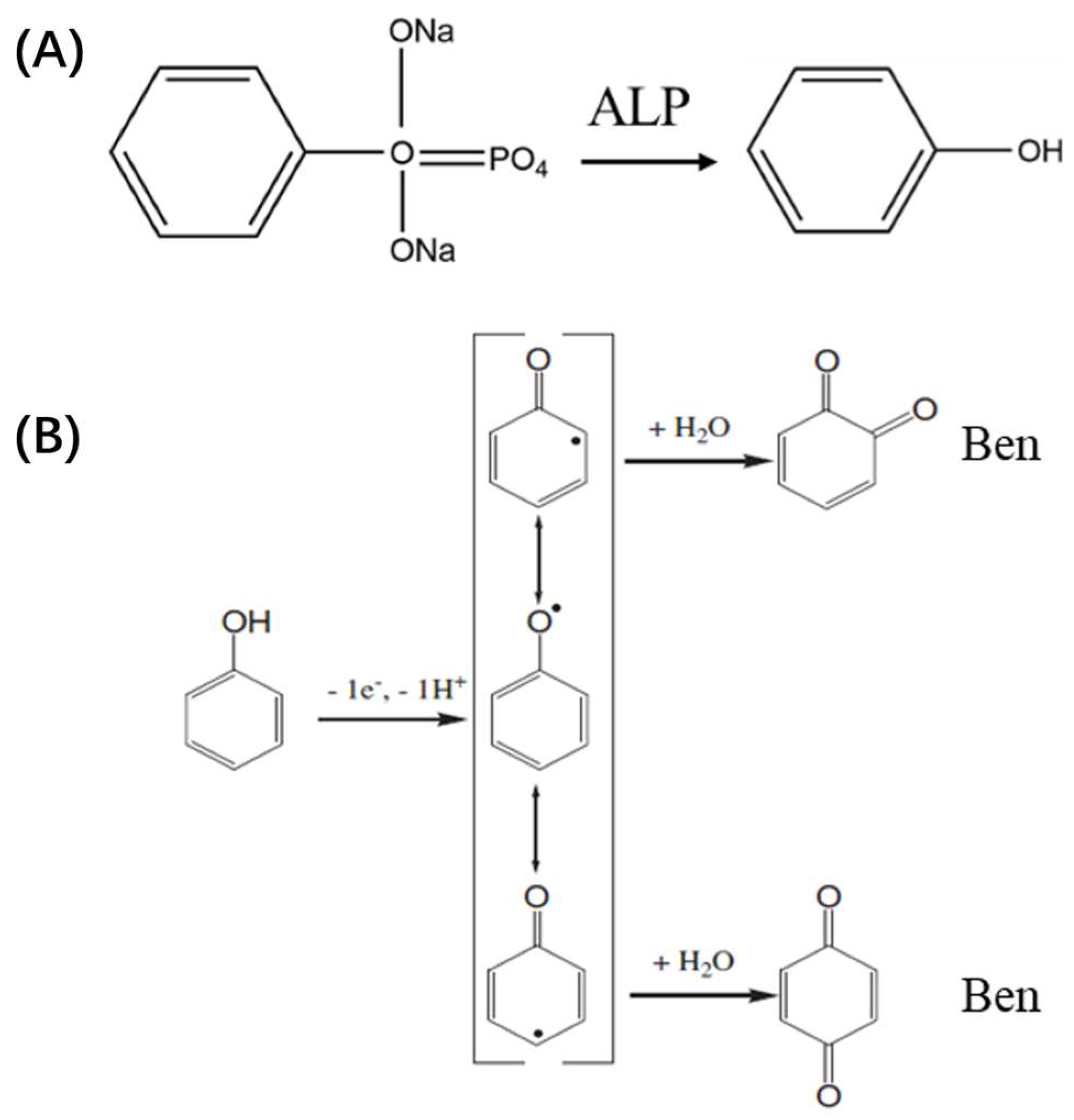 Biosensors 15 00377 g005 Biosensors 15 00377 g005