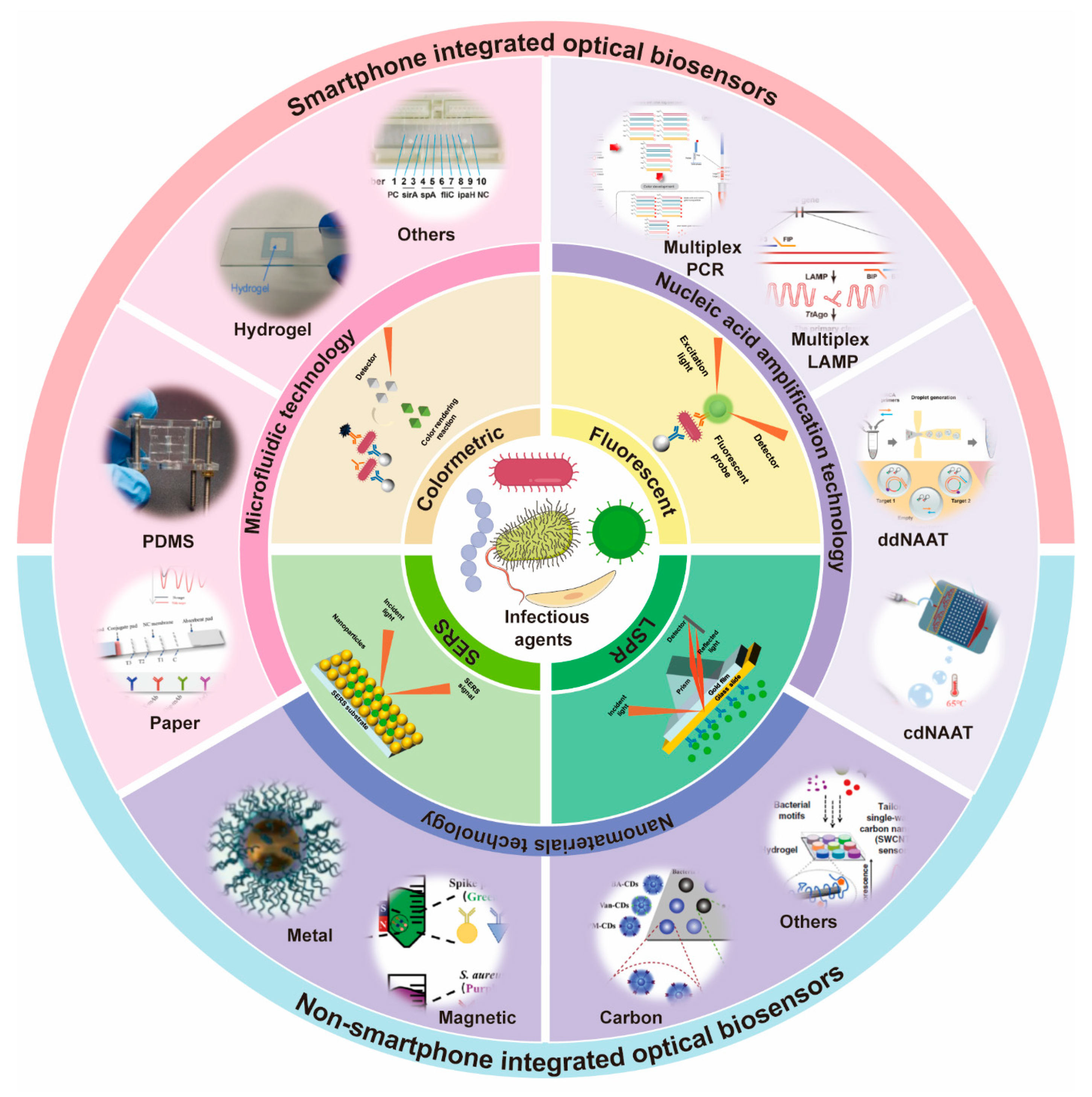 Biosensors 15 00378 g001