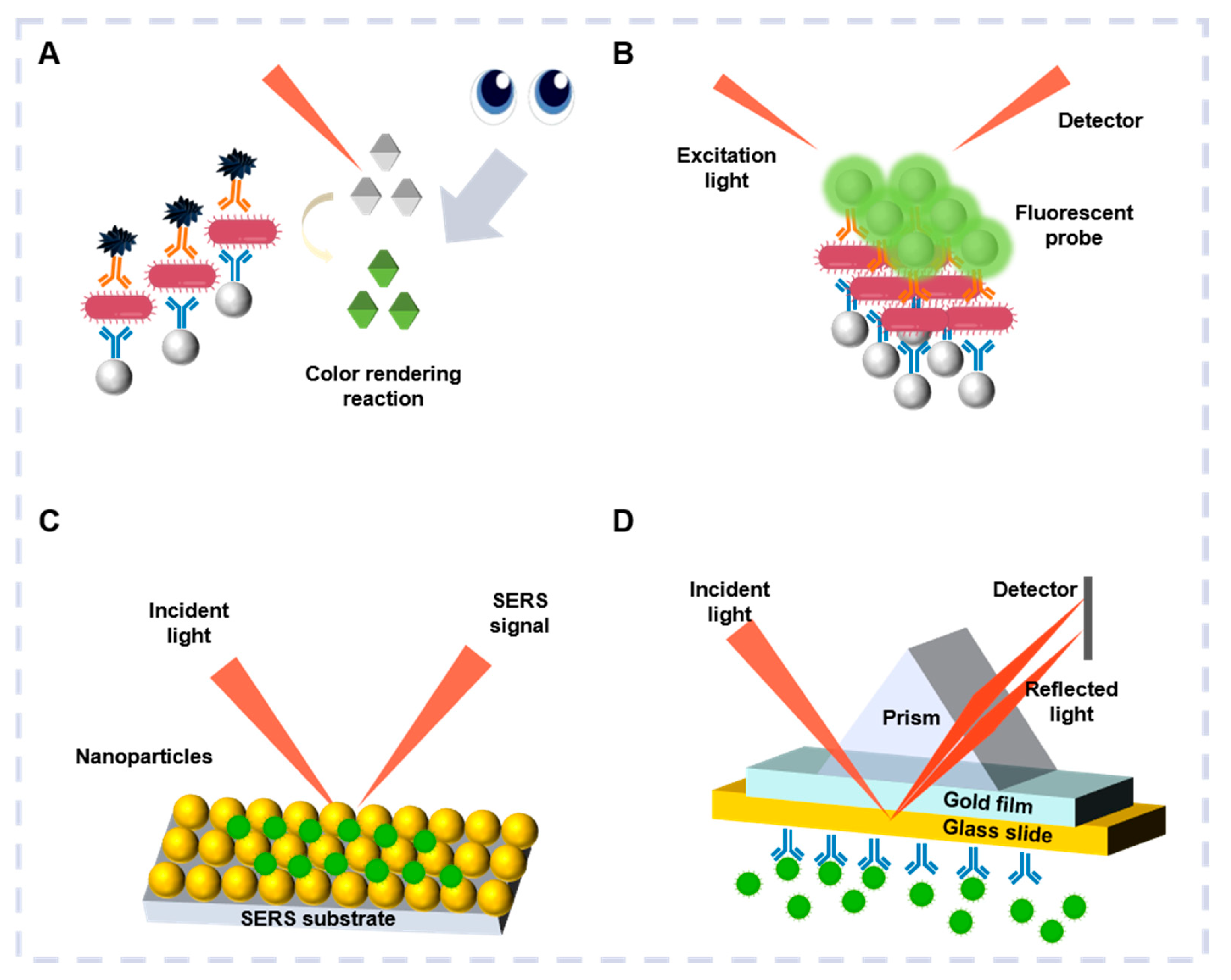 Biosensors 15 00378 g002