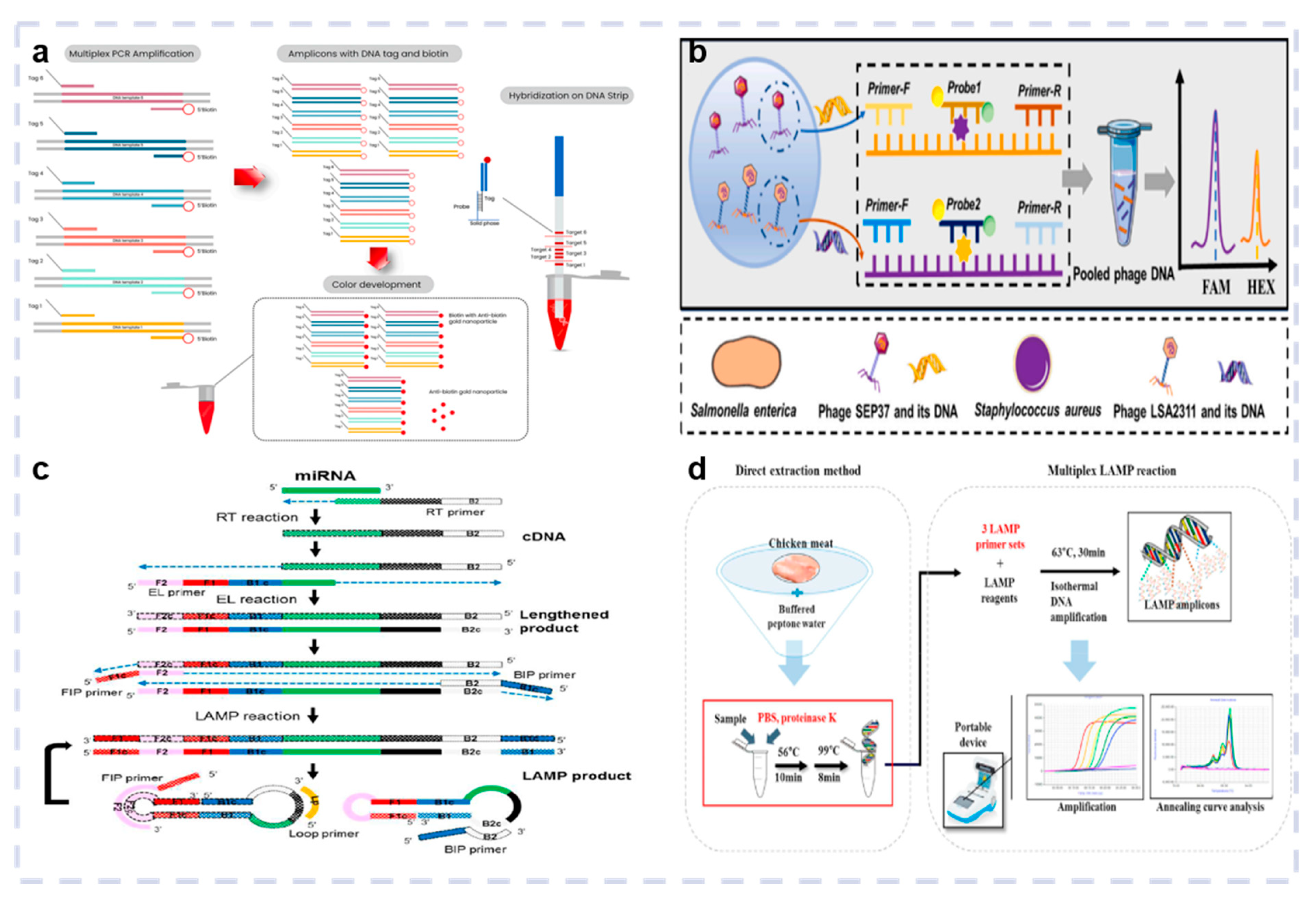Biosensors 15 00378 g004