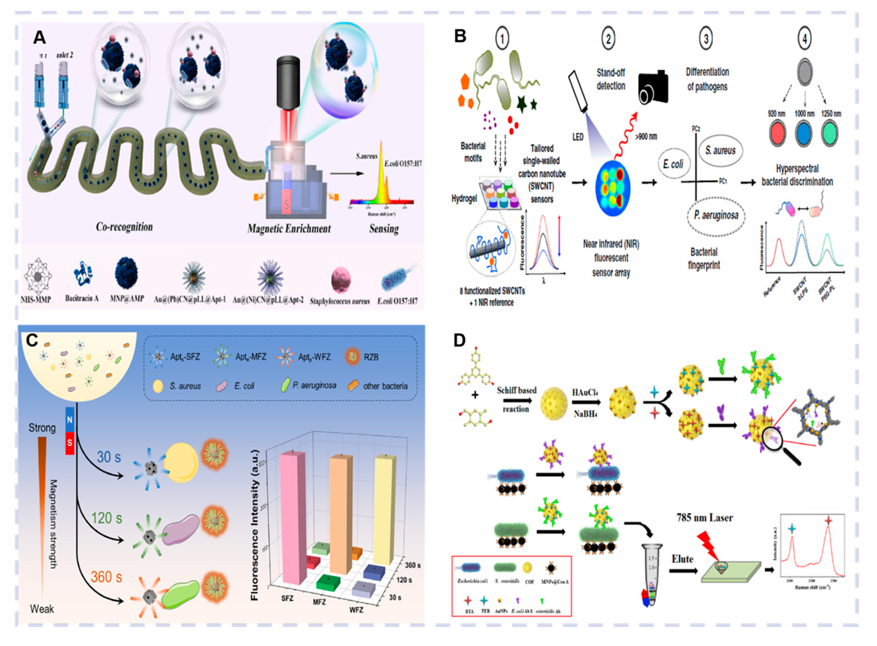 Biosensors 15 00378 g006