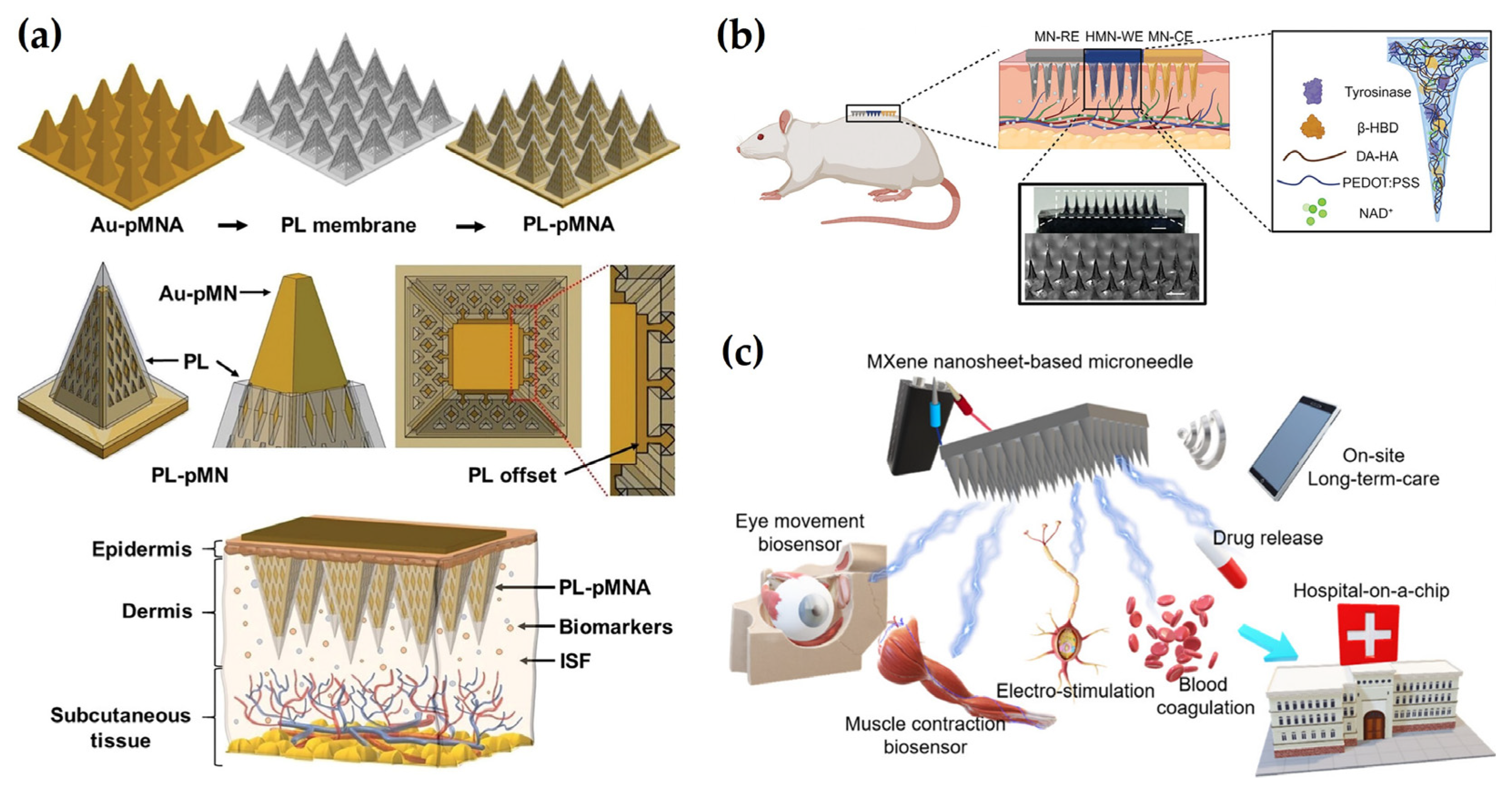 Electrochemical Microneedles for Real-Time Monitoring in