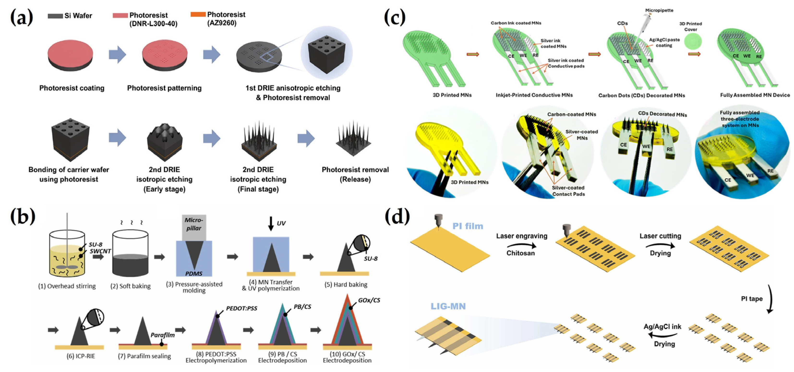 Biosensors 15 00380 g002