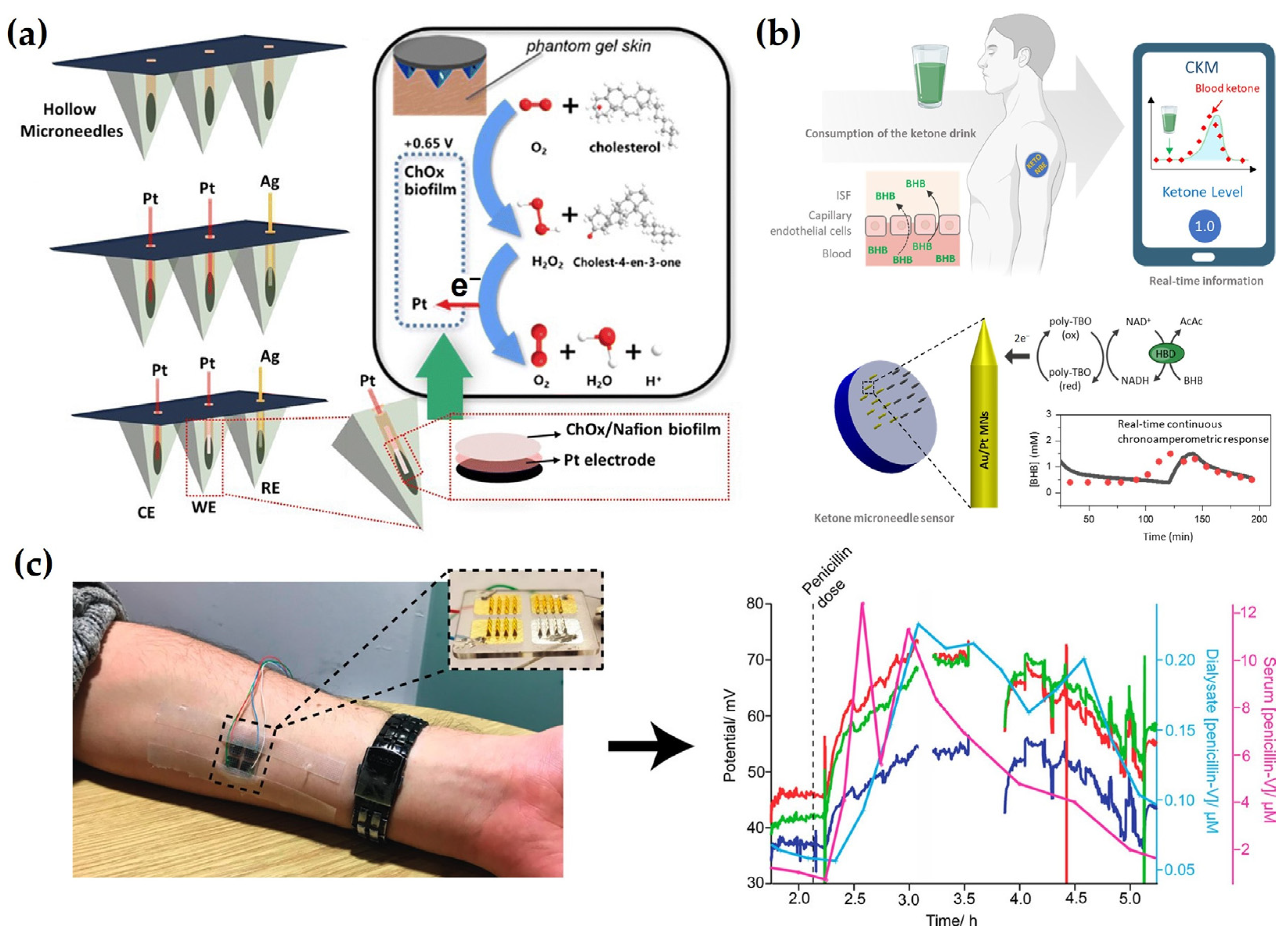 Biosensors 15 00380 g004