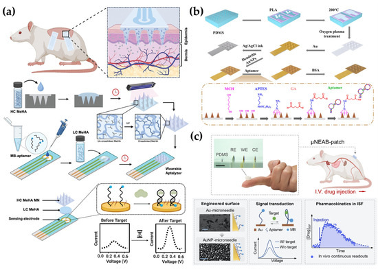 りえ Electrochemical Microneedles for Real-Time Monitoring in