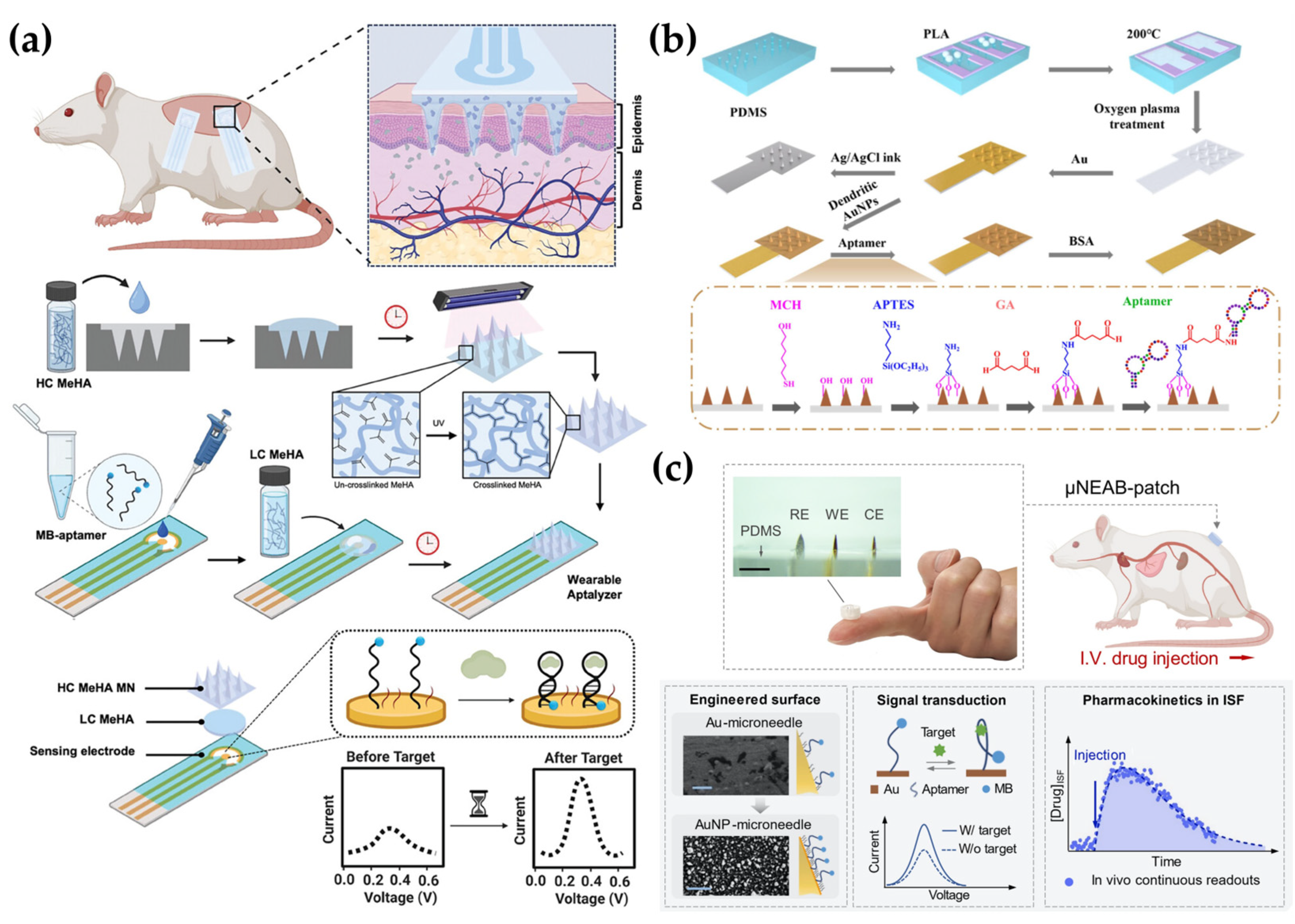 Biosensors 15 00380 g005