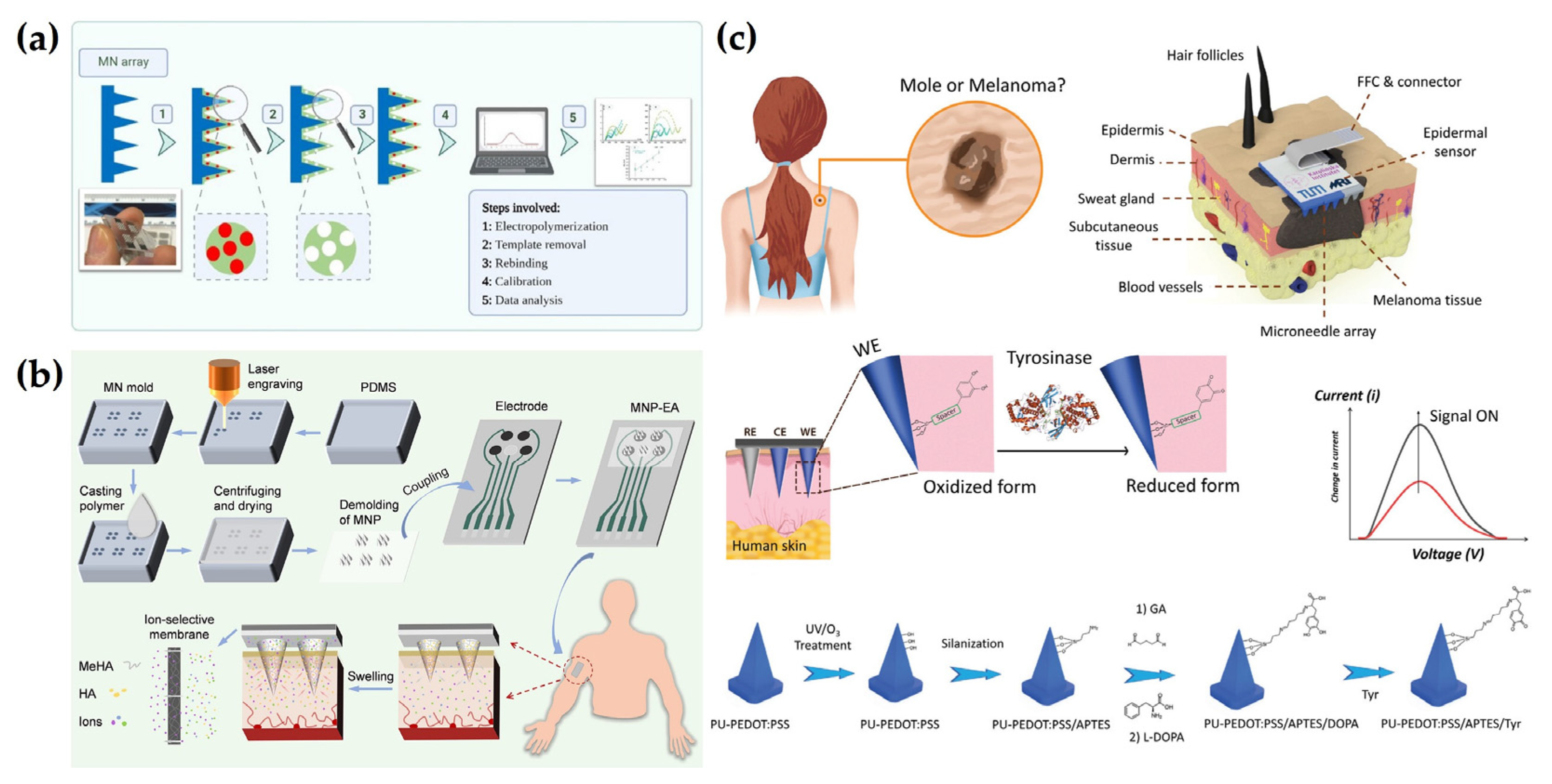 Biosensors 15 00380 g007