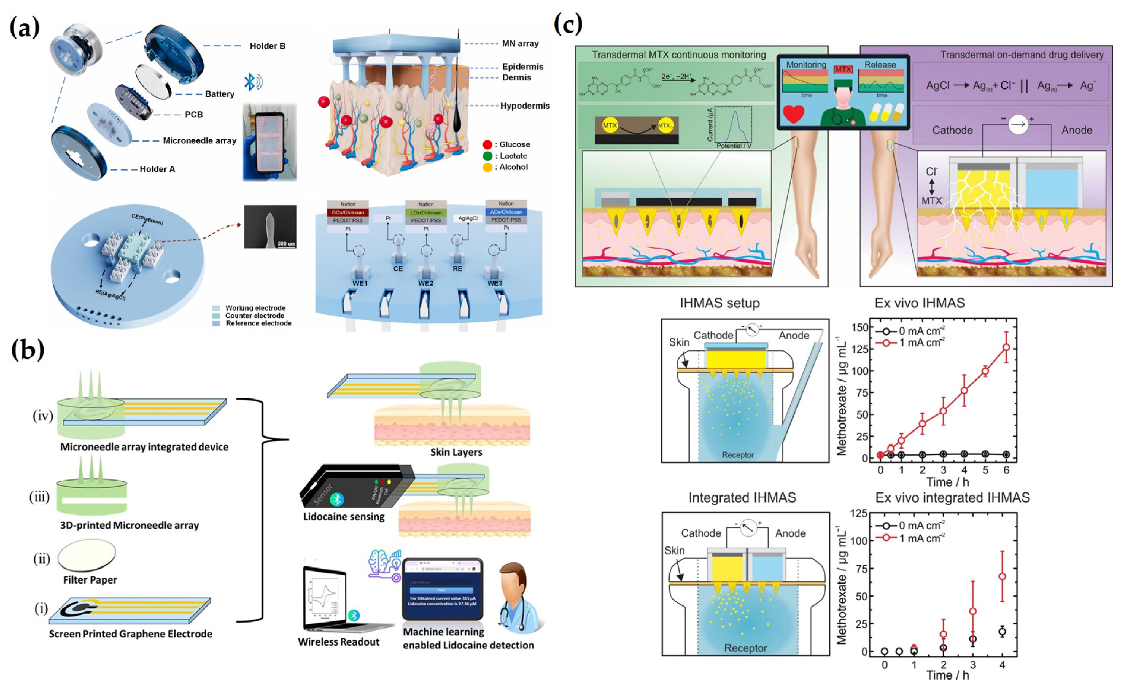 Biosensors 15 00380 g008