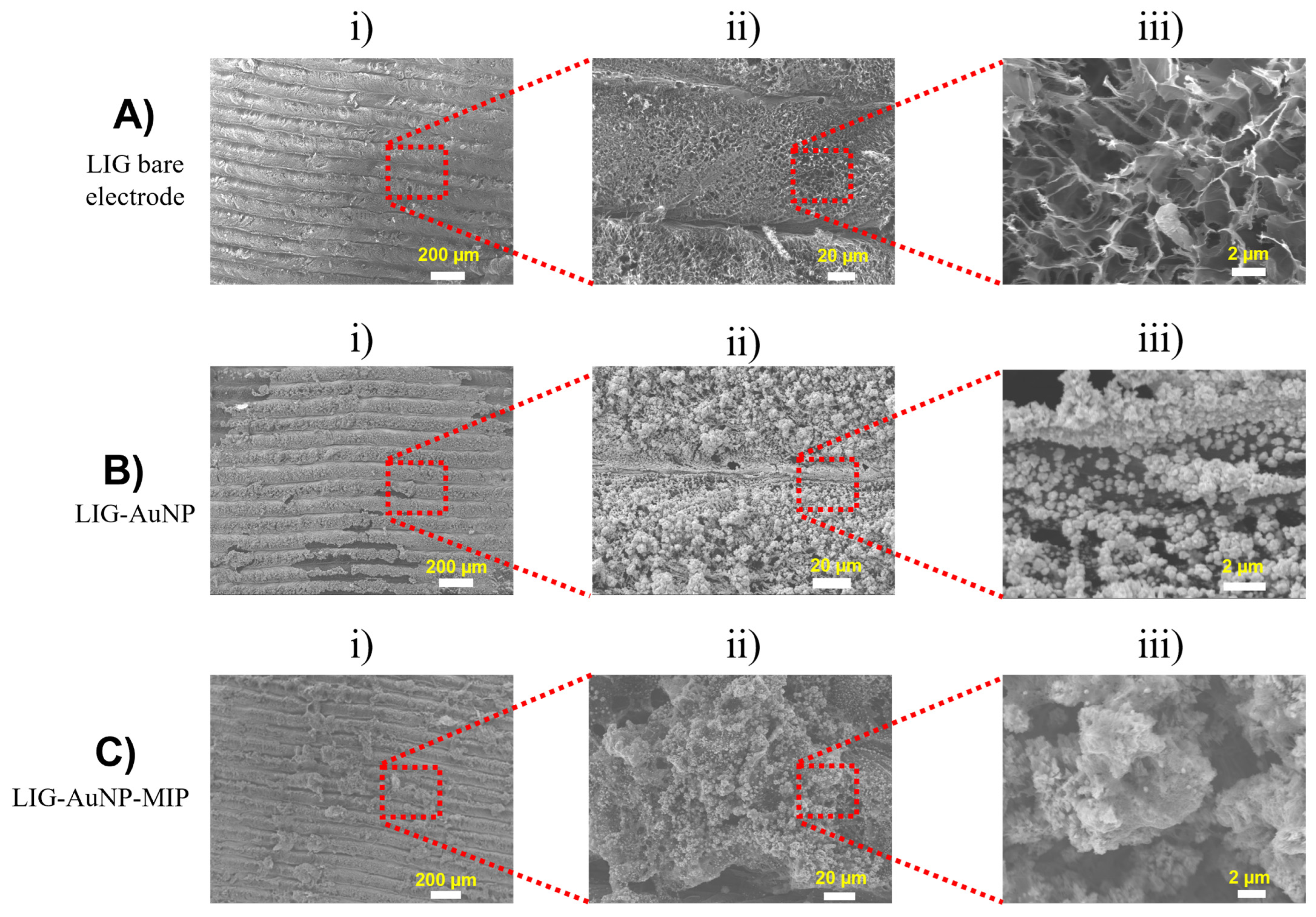 Biosensors 15 00384 g003