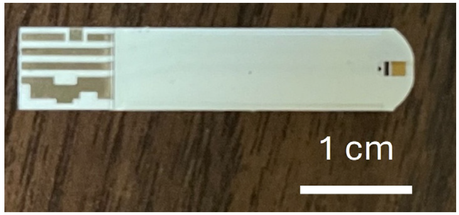 Biosensors 15 00386 g001