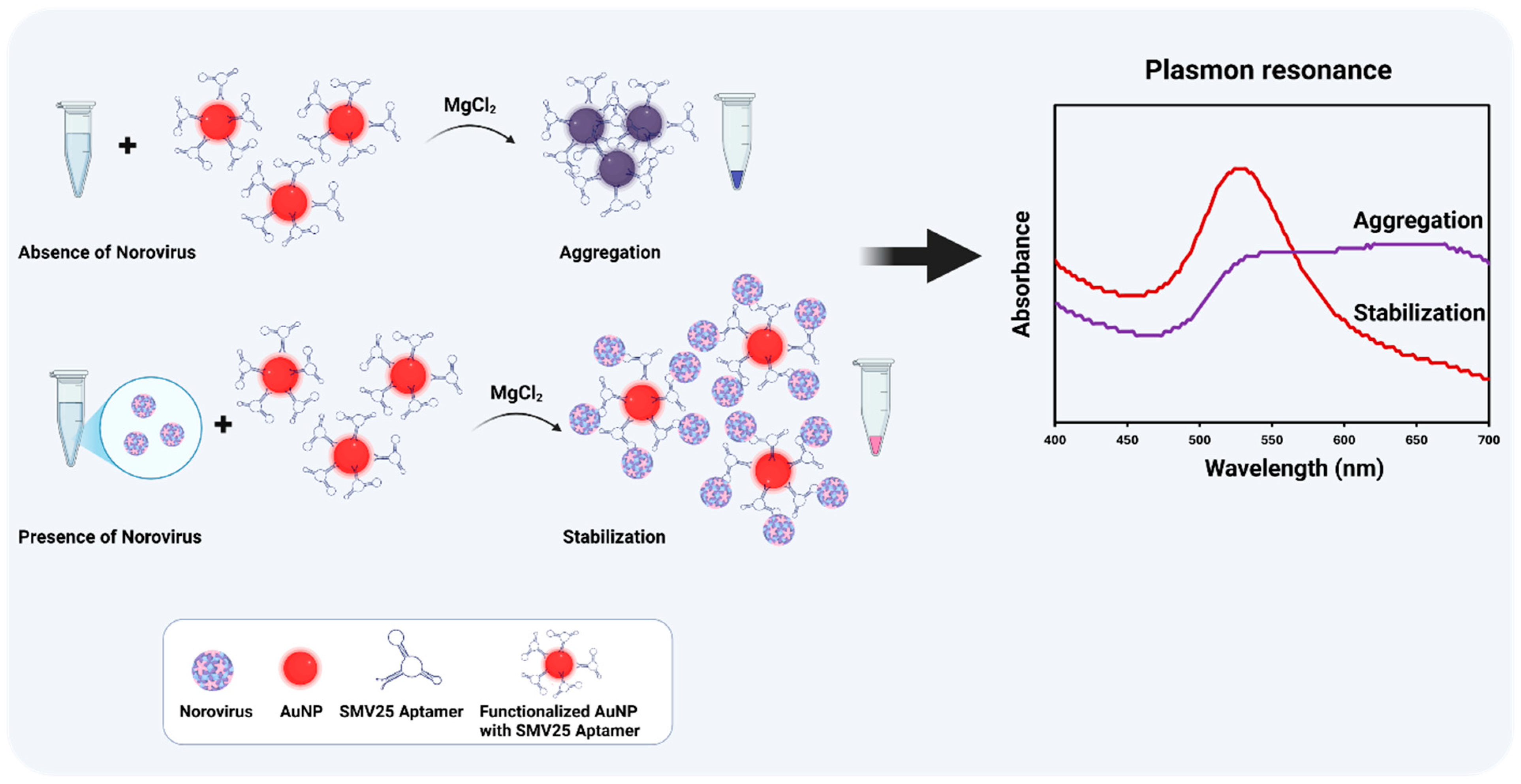 Biosensors 15 00387 g001