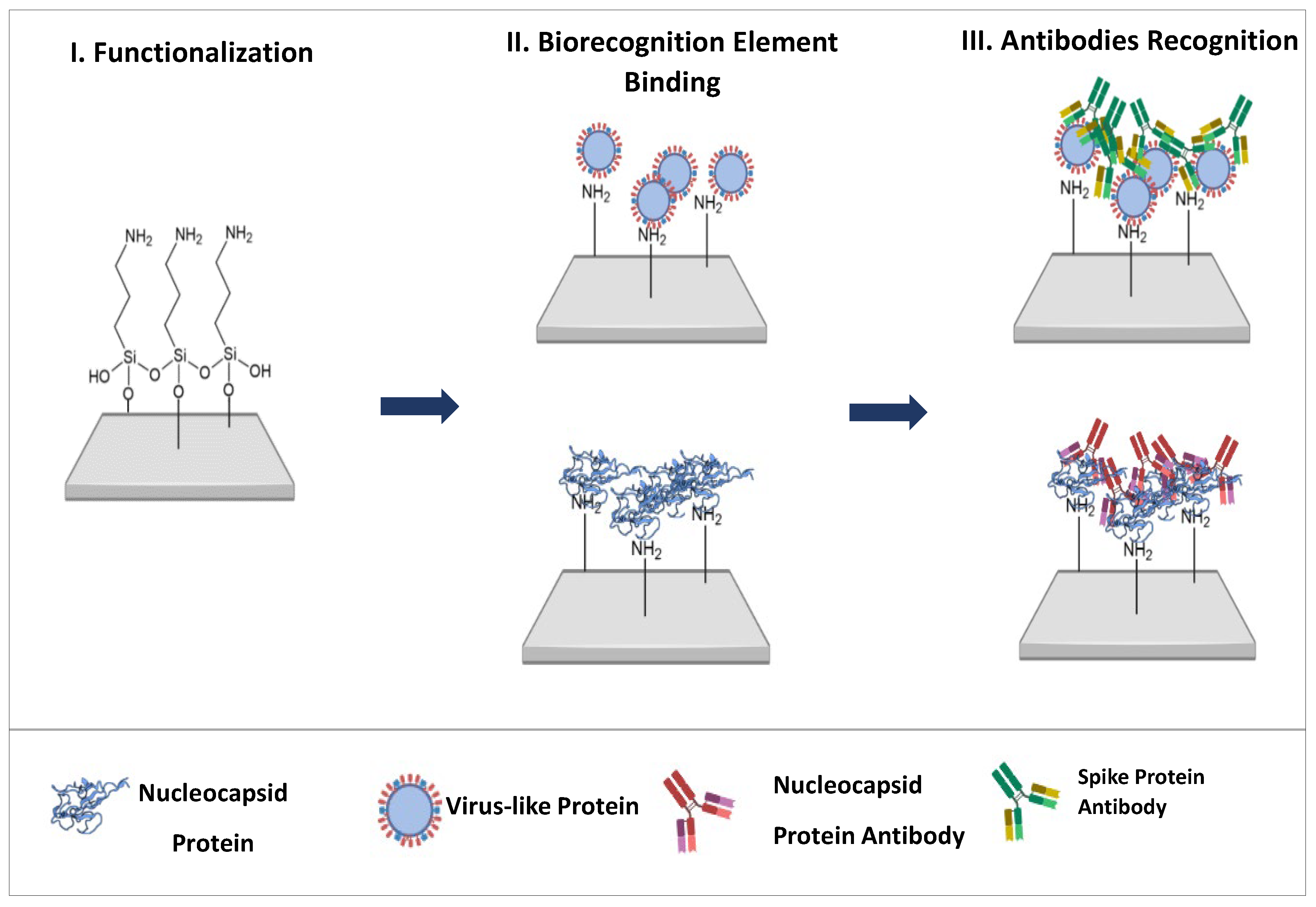 Biosensors 15 00390 g001