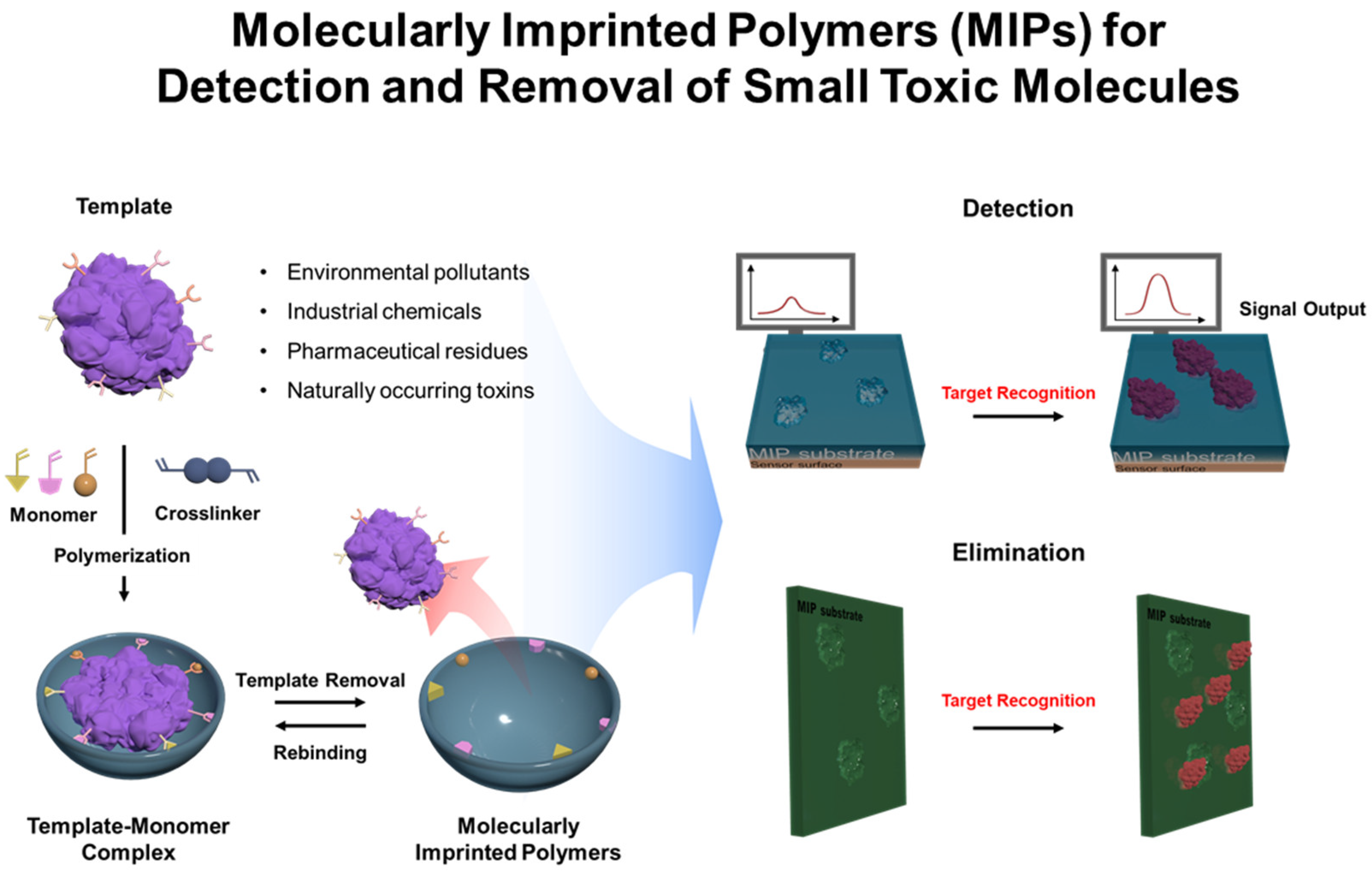 Biosensors 15 00393 g001